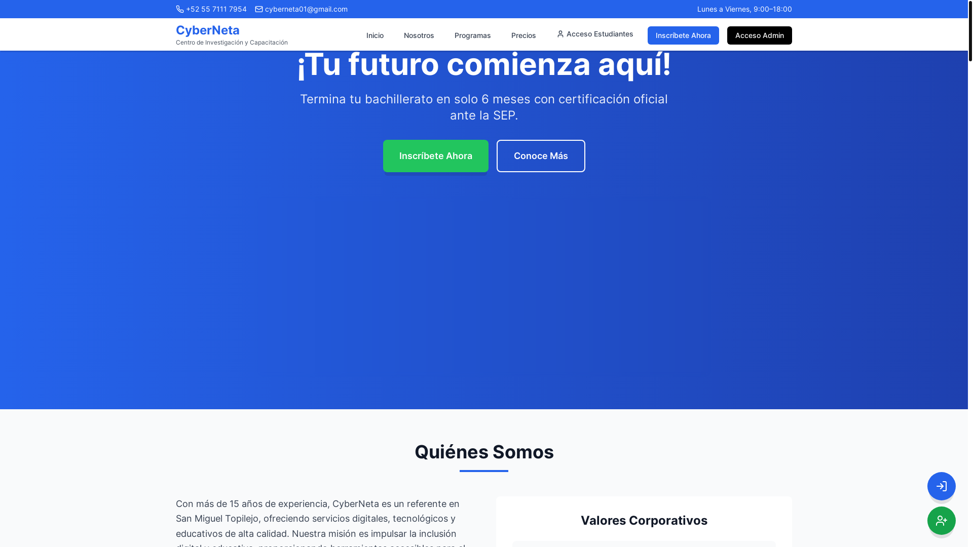 website screenshot of https://cyberreducateneta.com/