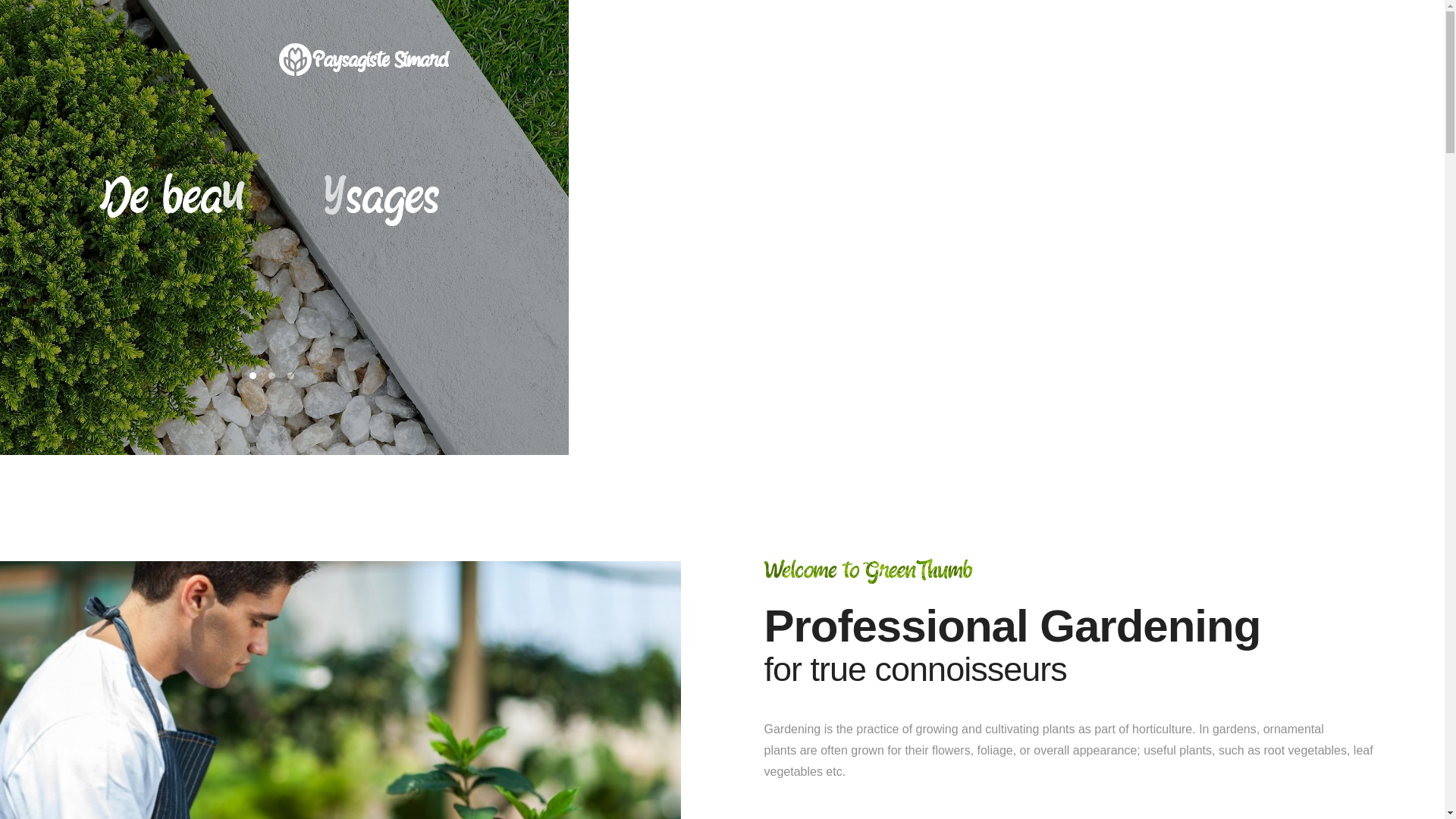 website screenshot of https://paysagiste-simard.fr/