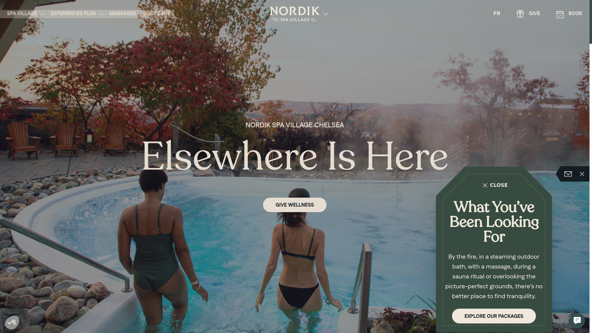 website screenshot of https://lenordik.com/