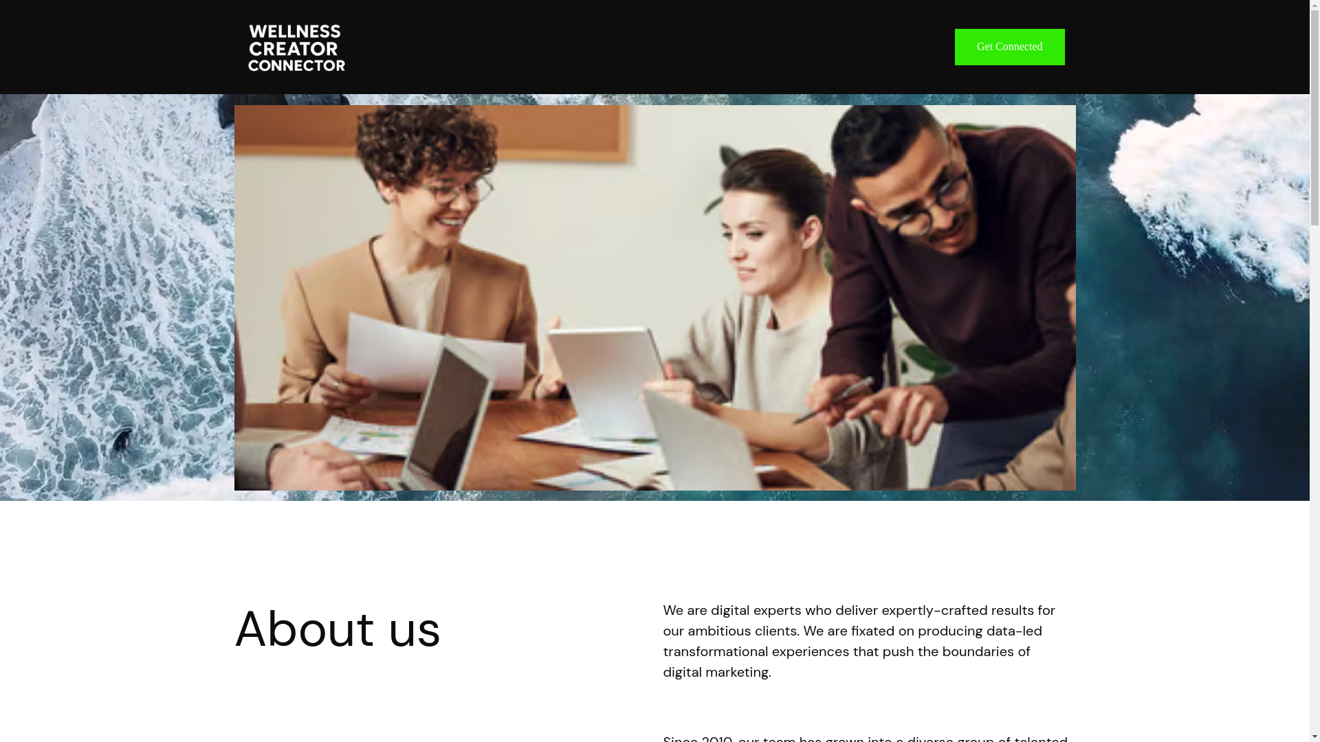 website screenshot of https://wellnesscreatorconnector.co.uk/