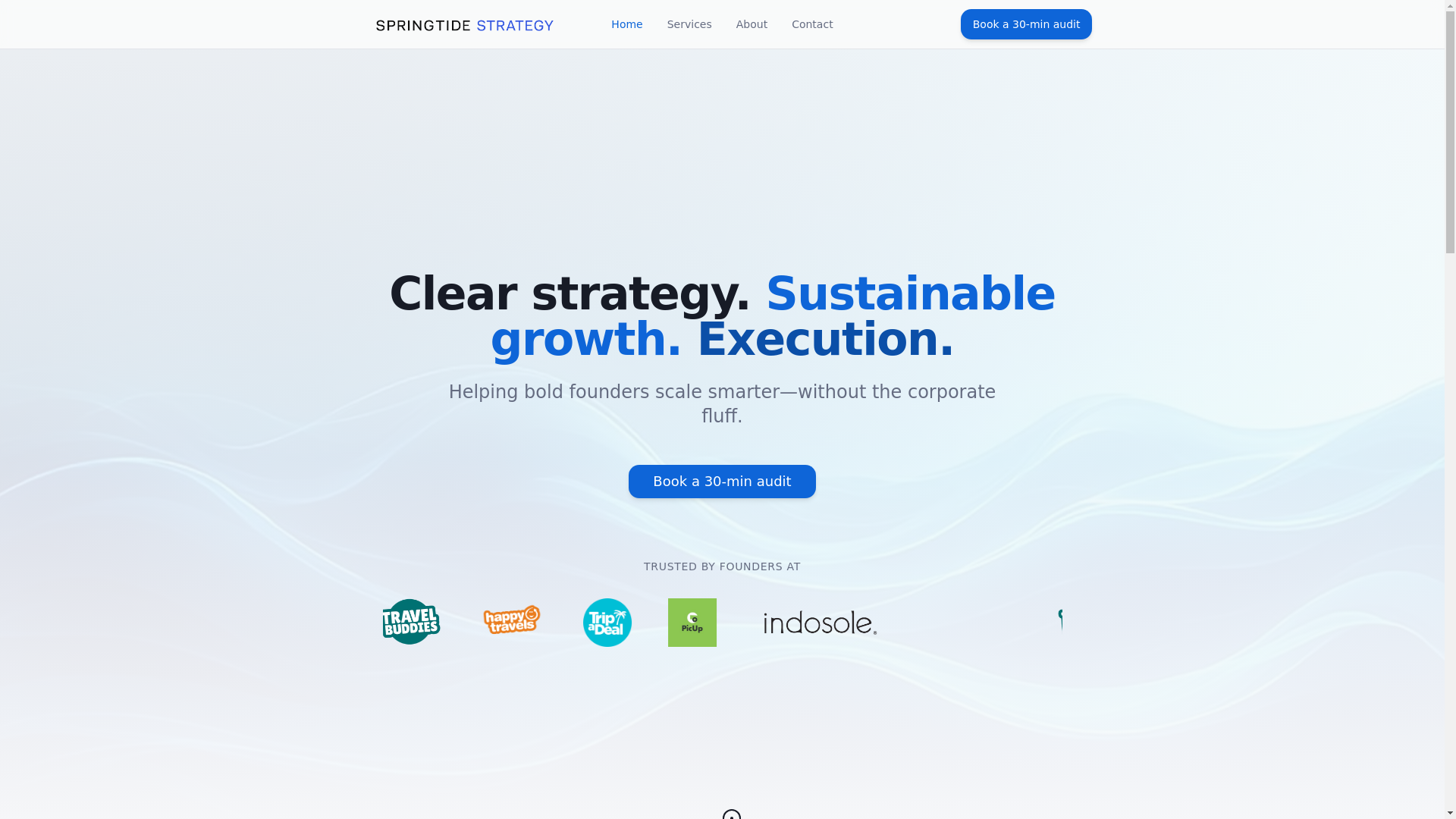 website screenshot of https://springtidestrategy.com.au/