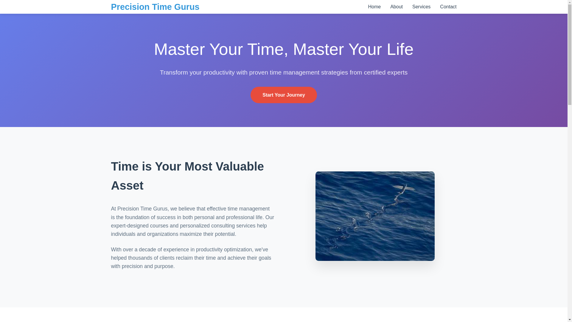 website screenshot of https://precisiontimegurus.courses/