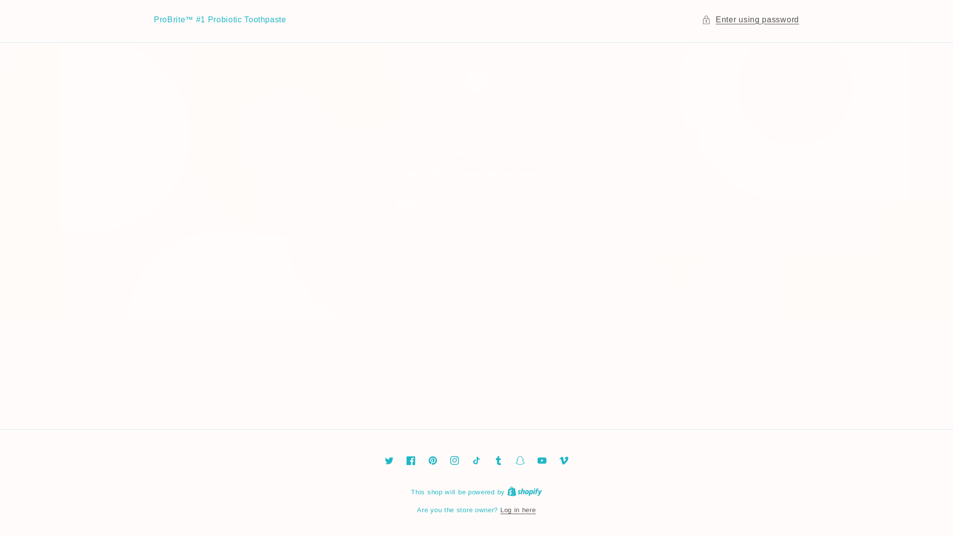 website screenshot of https://tryprobrite.com/