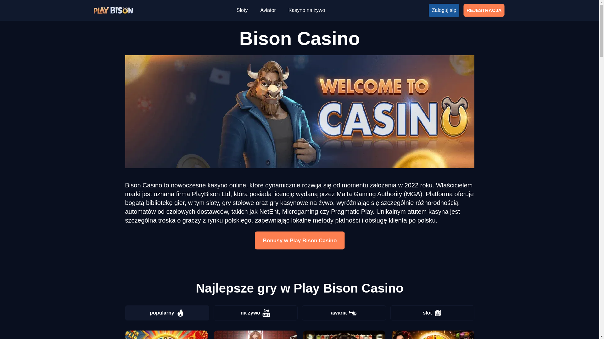 website screenshot of https://playbison-com-pl-4393.pages.dev/