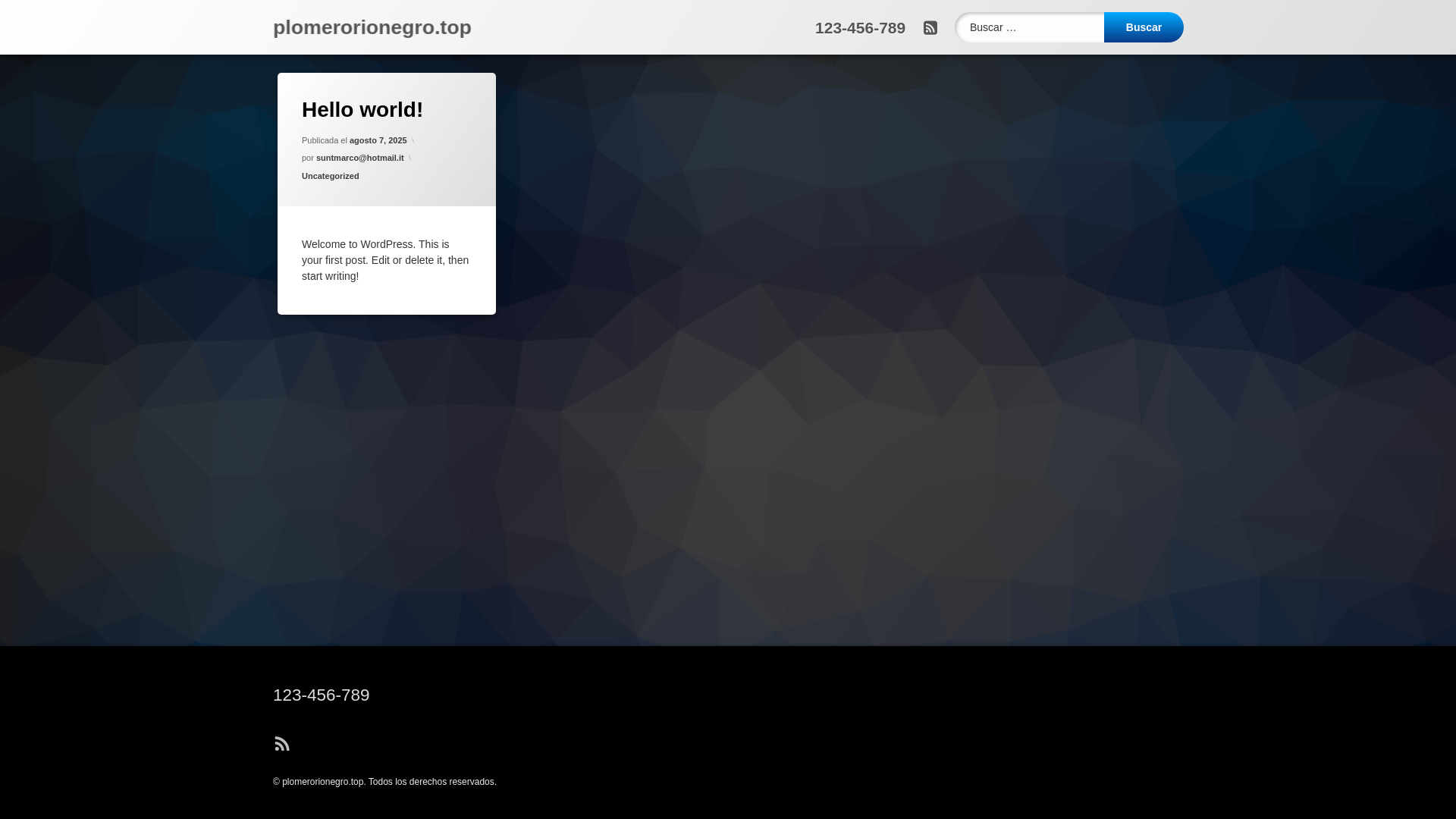 website screenshot of https://plomerorionegro.top/