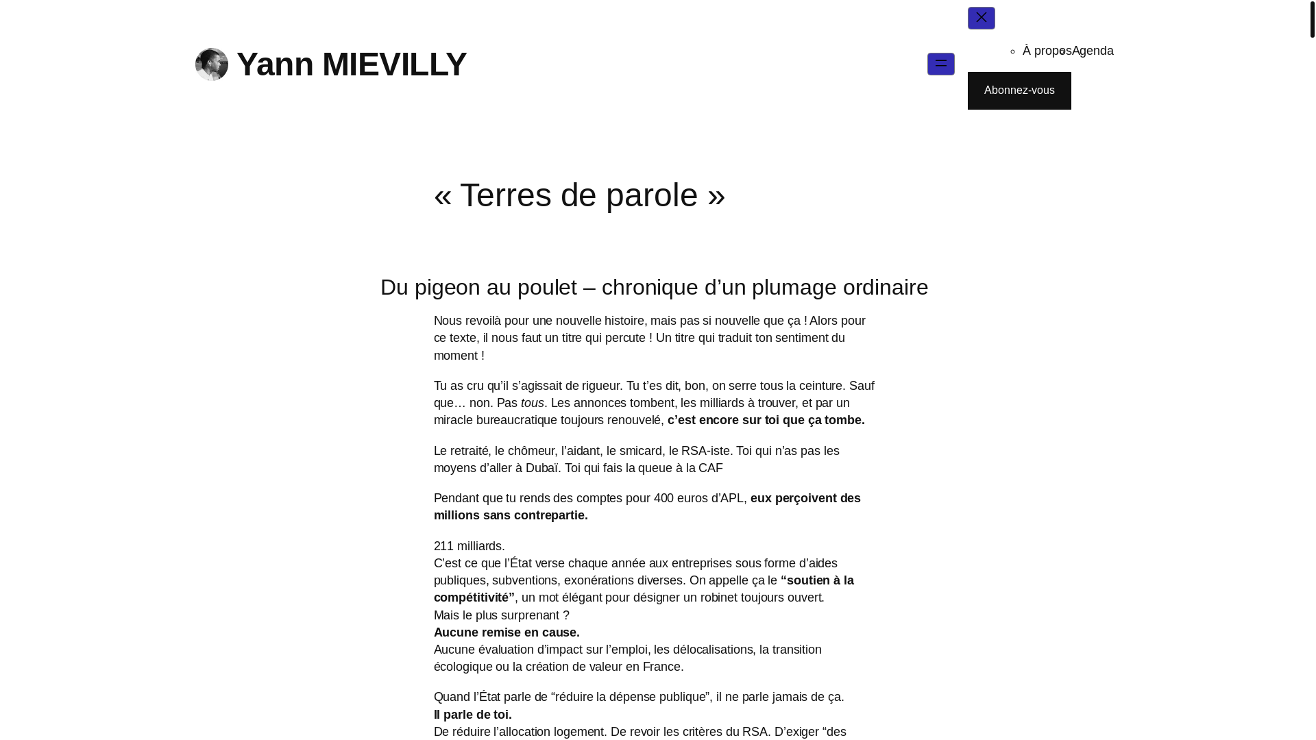 website screenshot of https://yannmievilly.com/
