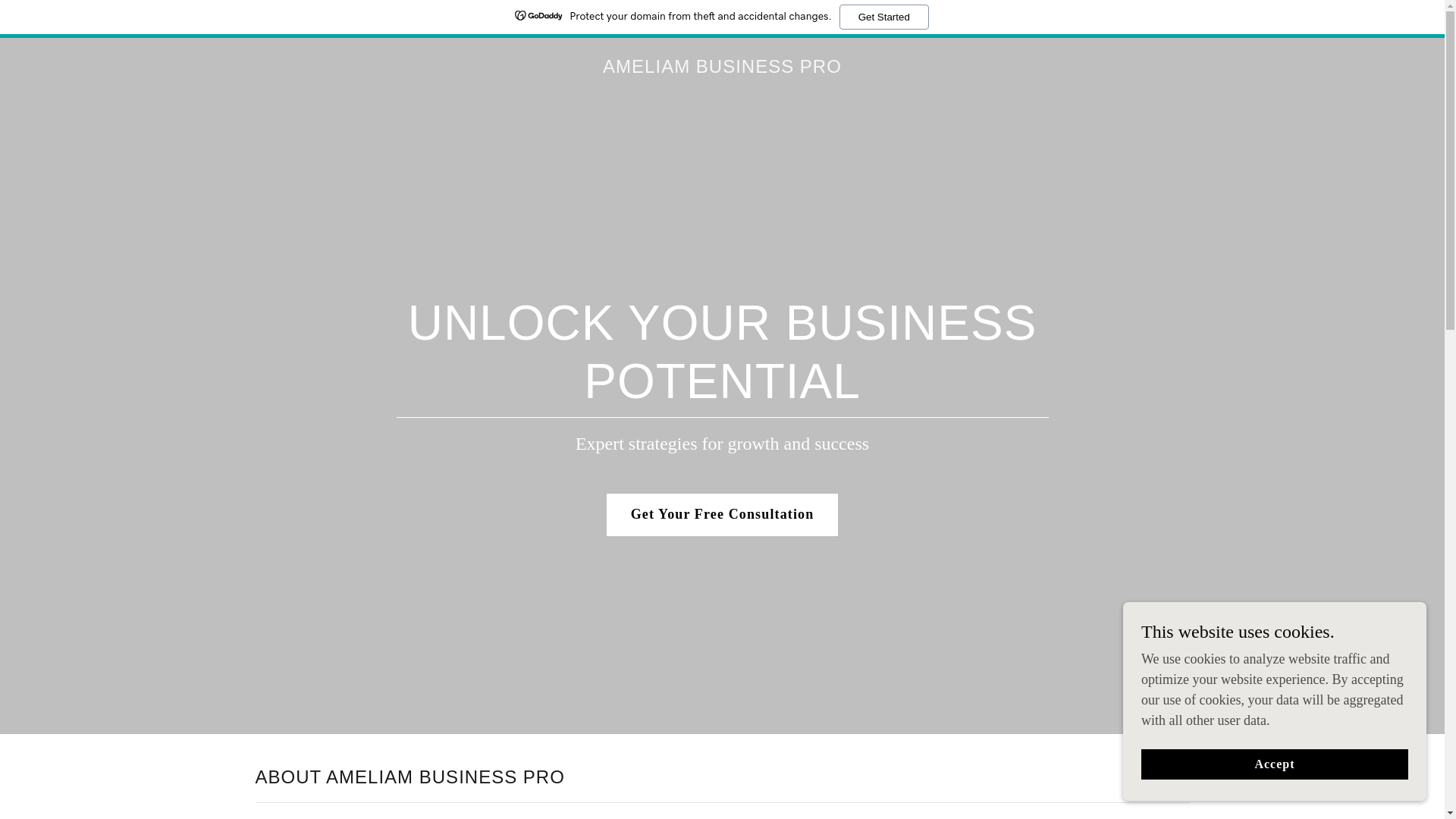 website screenshot of https://ameliambusinesspro.com/