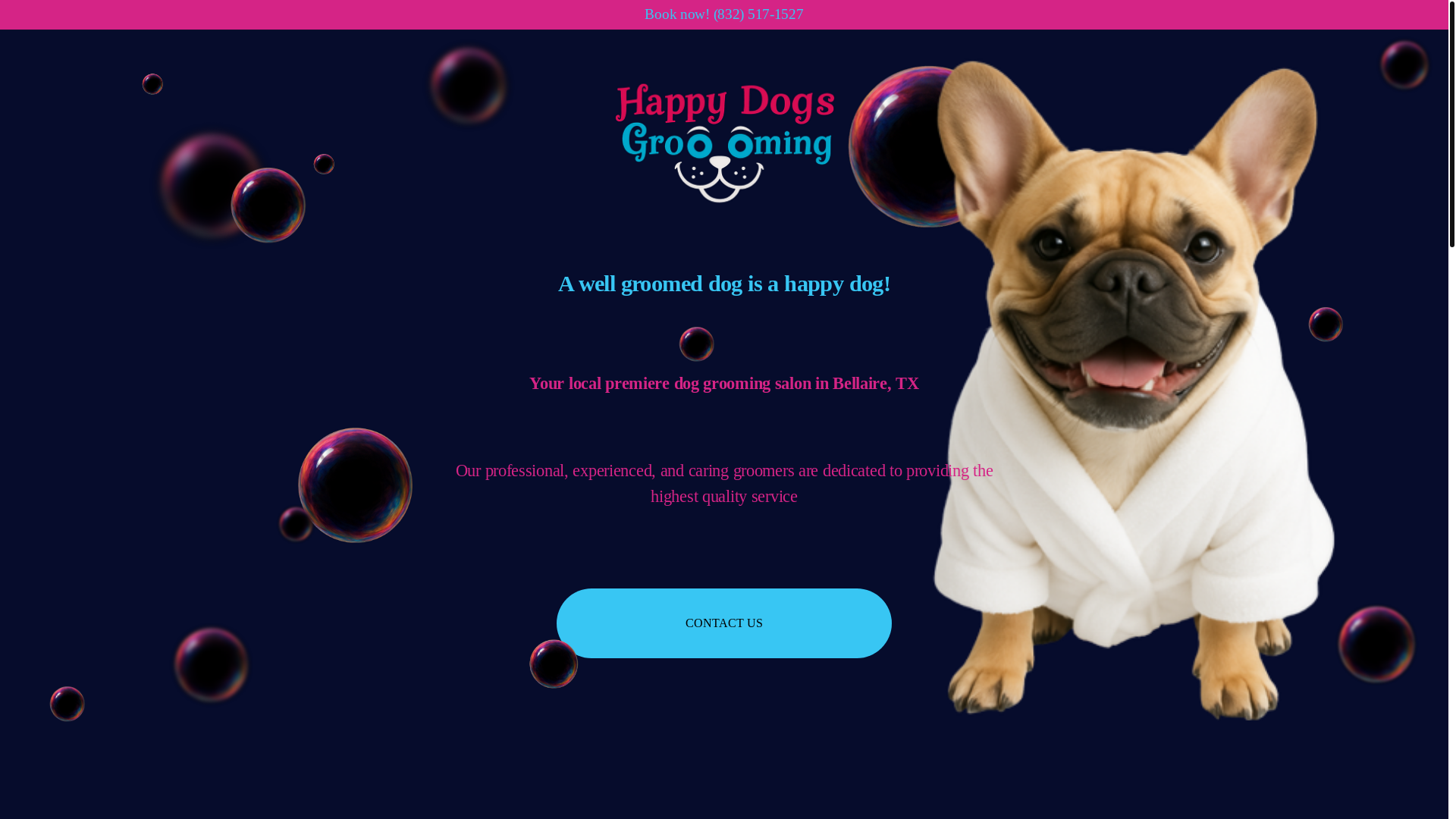 website screenshot of https://hdghouston.com/
