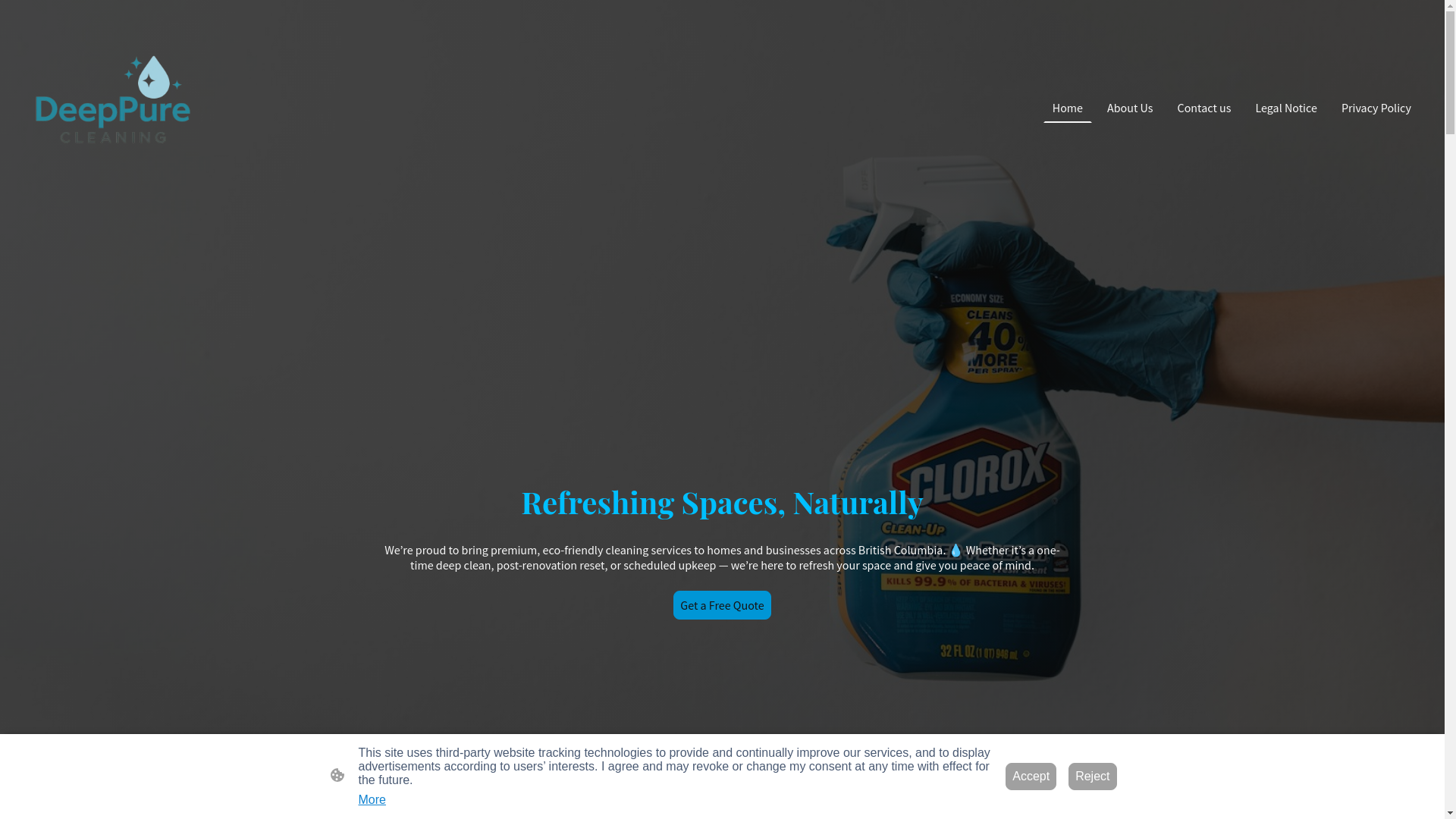 website screenshot of https://deeppurecleaning.ca/