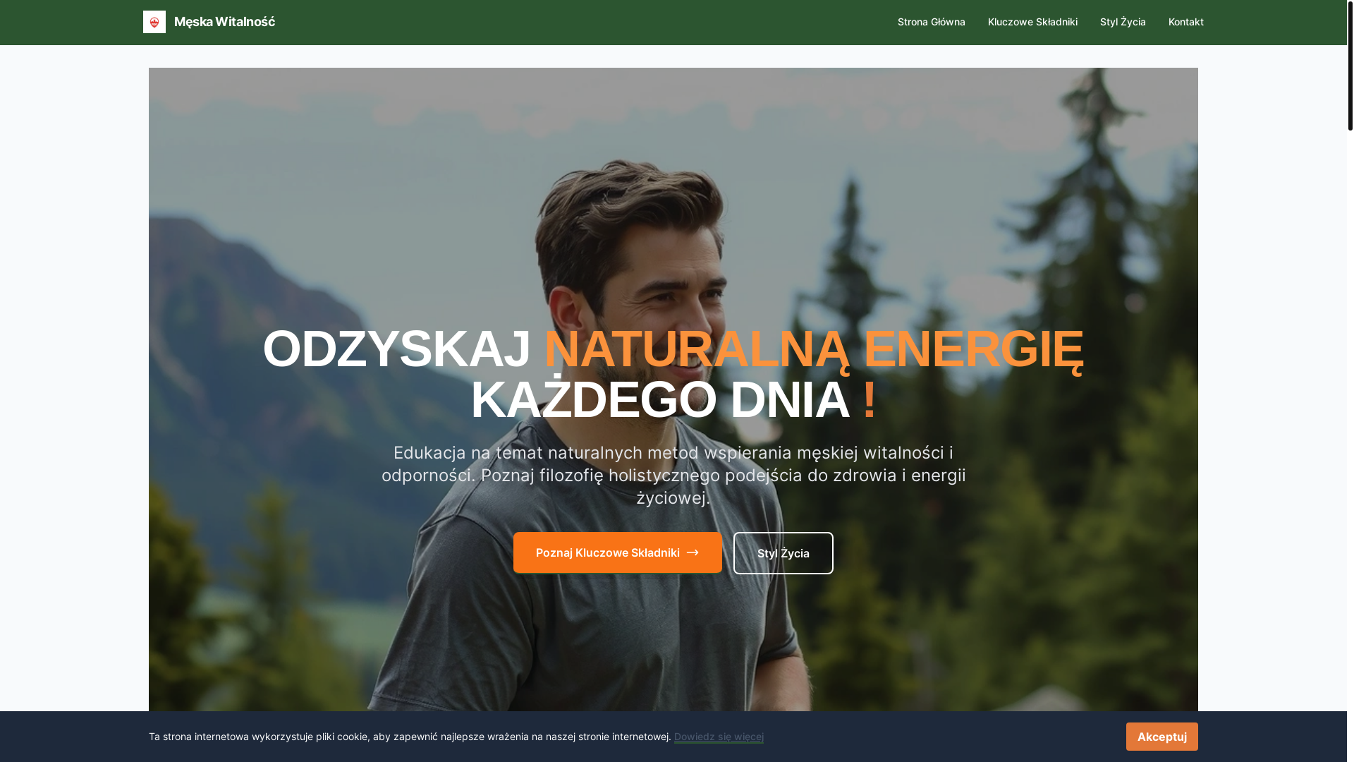 website screenshot of https://meskawitalnosc.info/