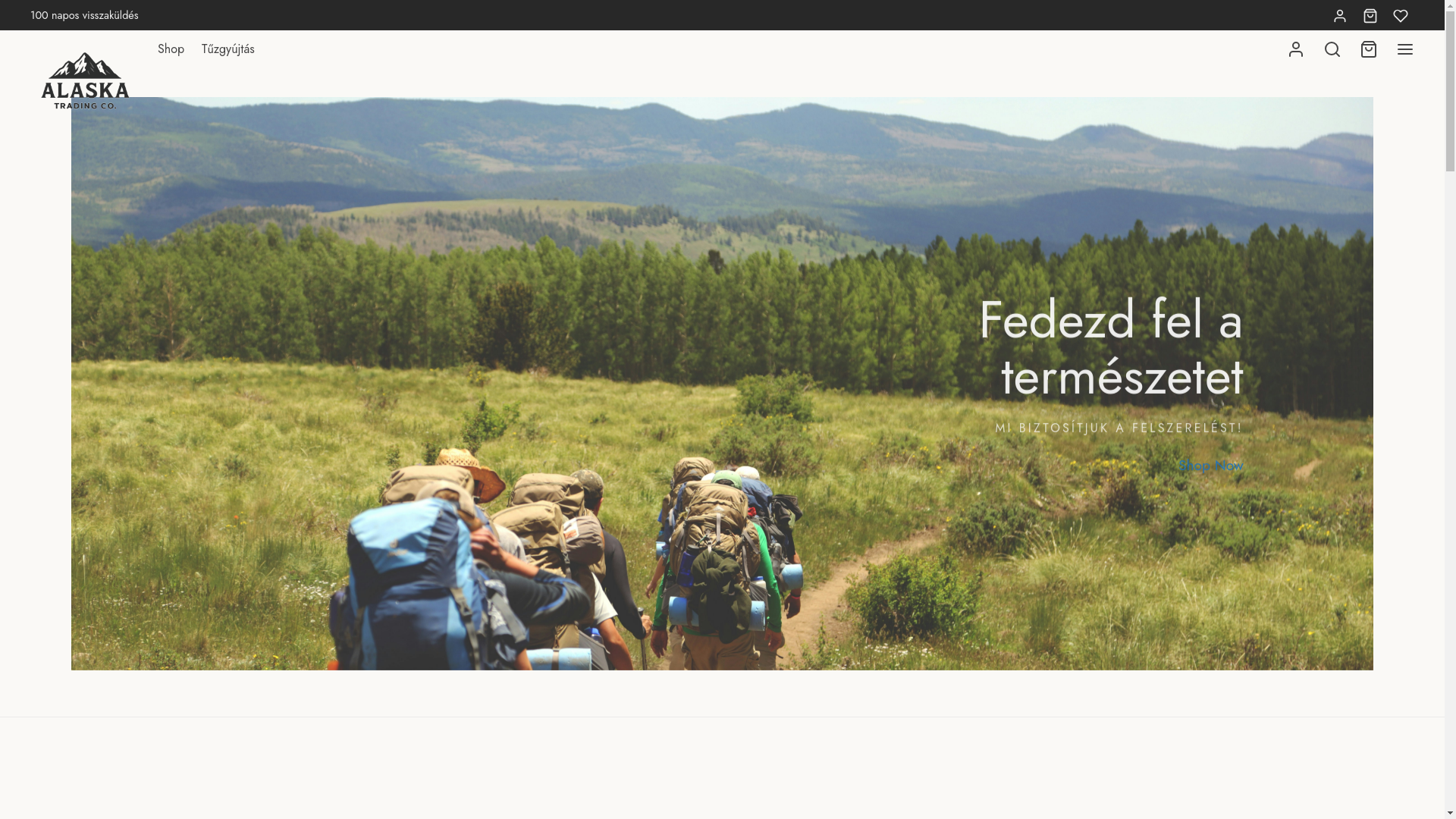 website screenshot of https://alaskatrading.hu/