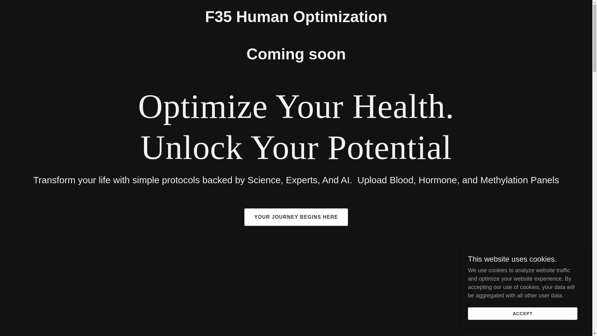website screenshot of https://f35systems.com/