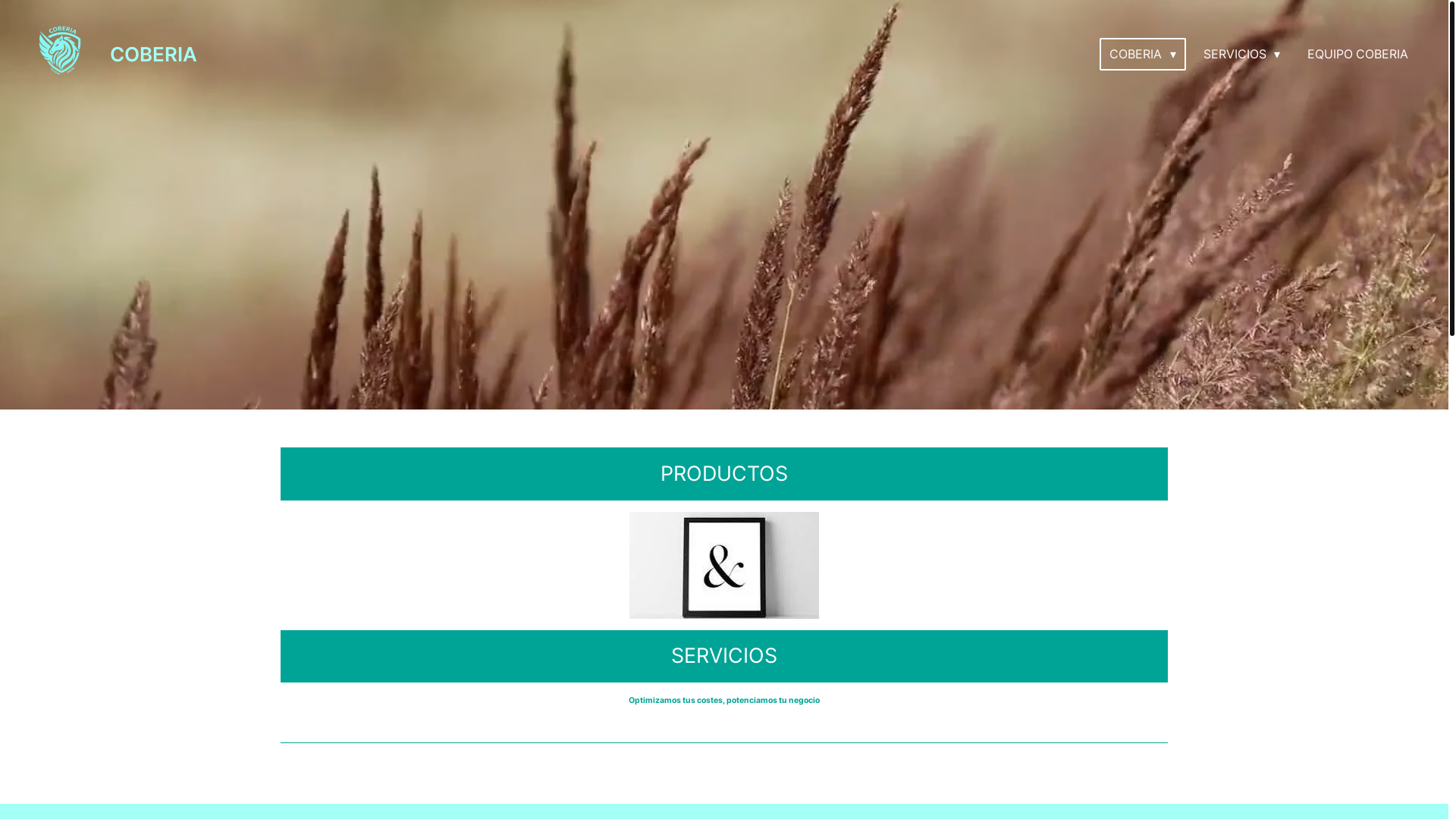 website screenshot of https://tarifasuwy.com/