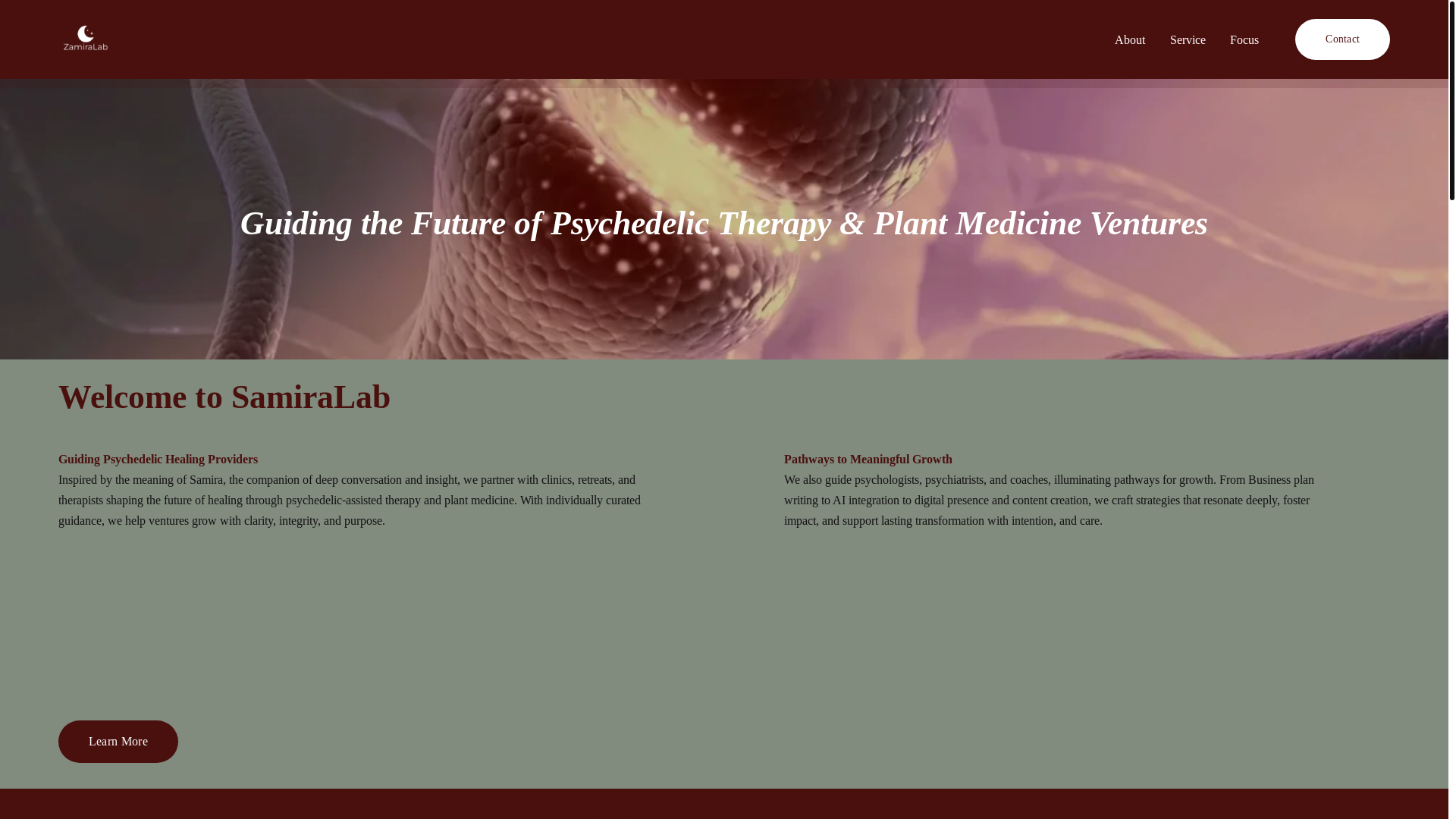 website screenshot of https://zamiralab.com/
