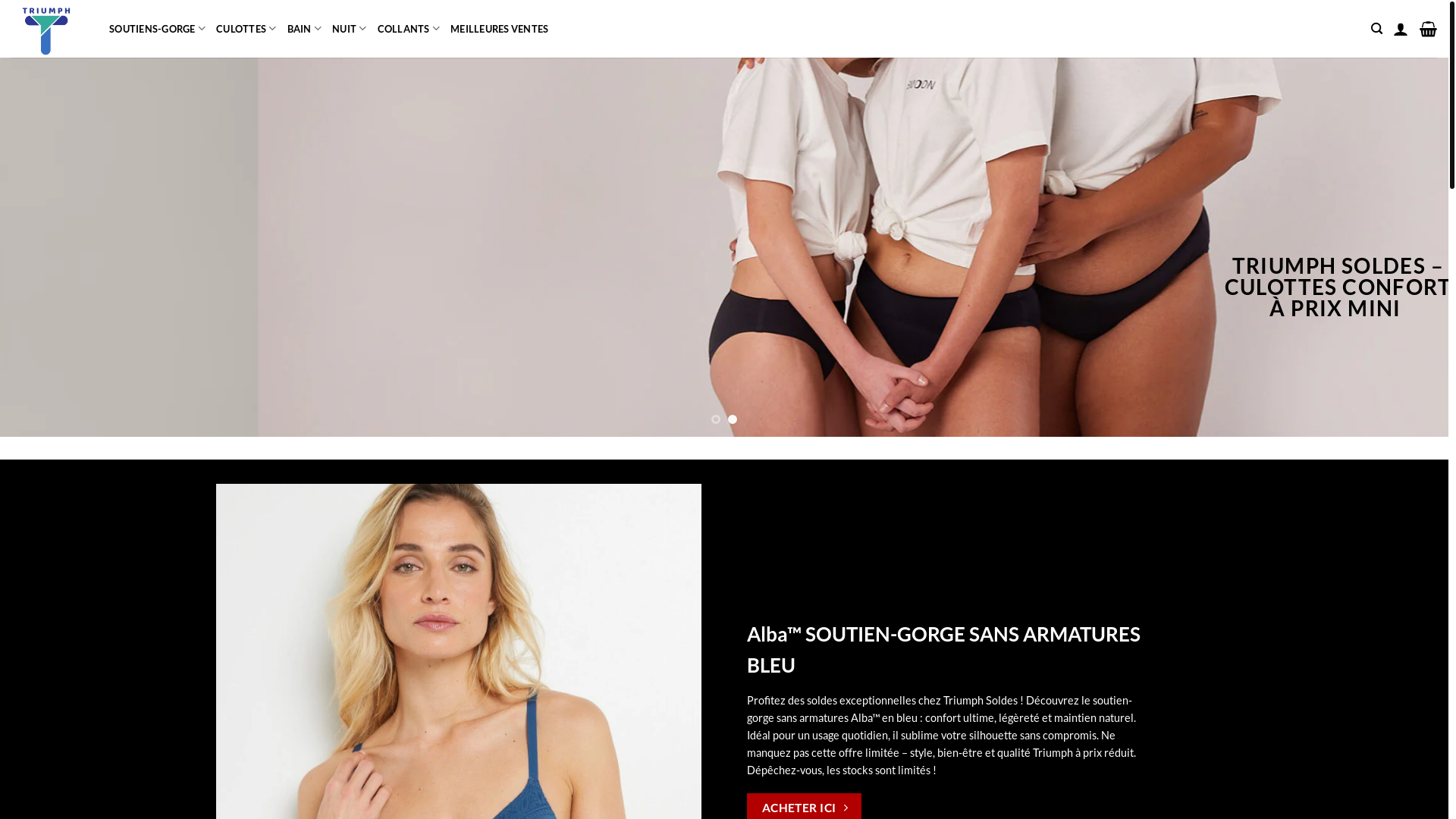 website screenshot of https://chiclingerievente.com/