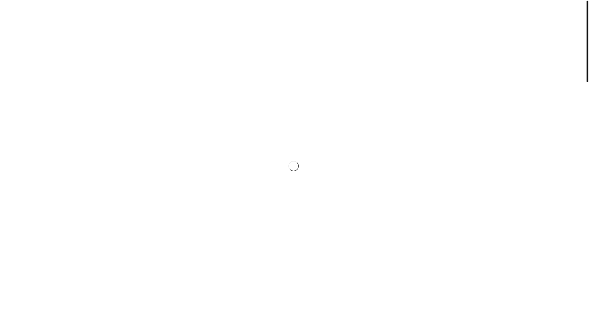website screenshot of https://vargasartprojects.com/