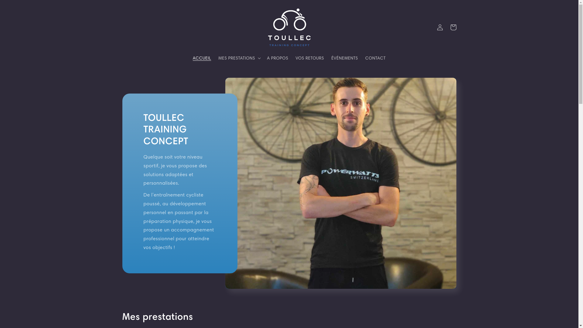 website screenshot of https://toullec-trainingconcept.fr/