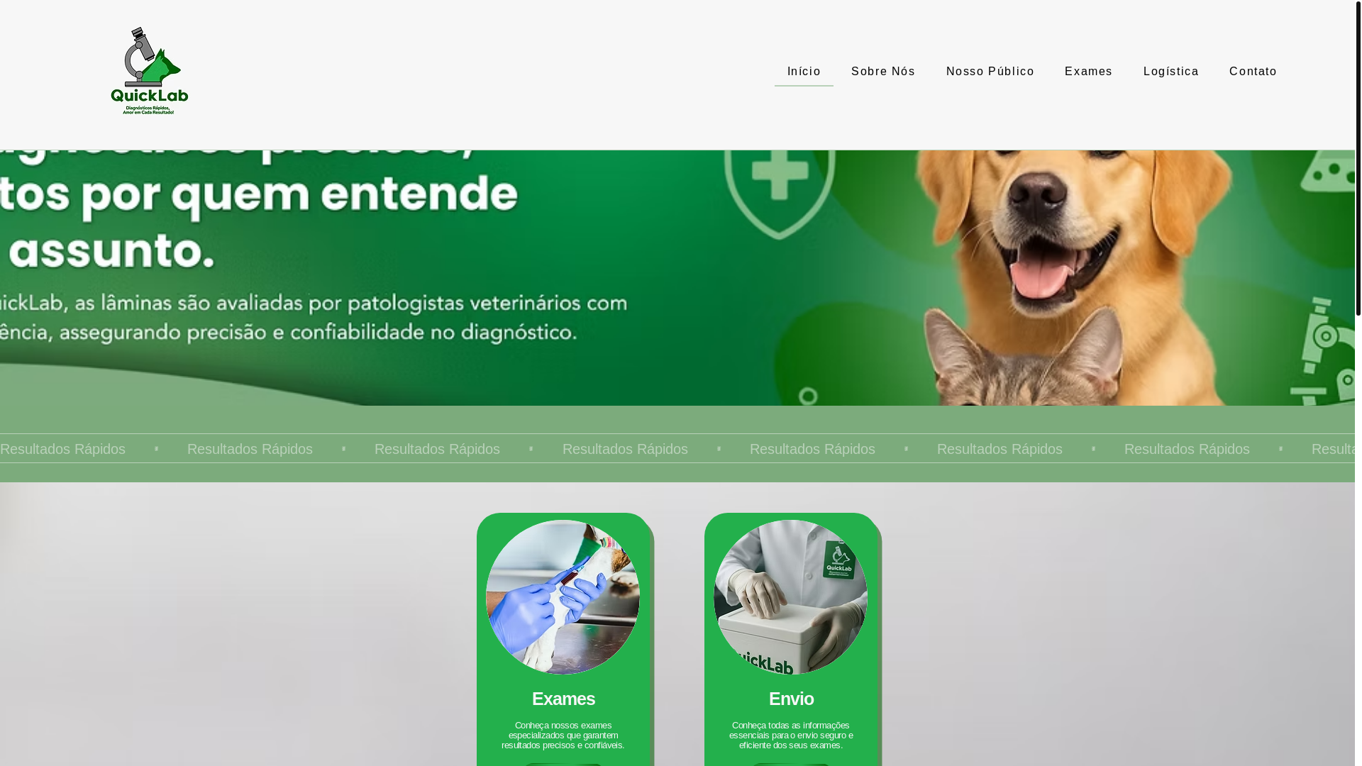 website screenshot of https://quicklabvet.com.br/