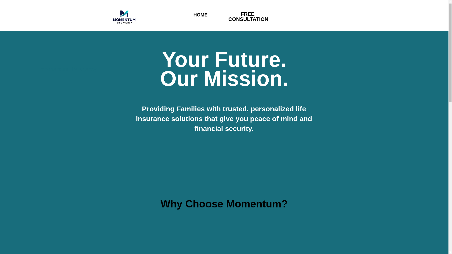 website screenshot of https://momentumlifeinsuranc.com/