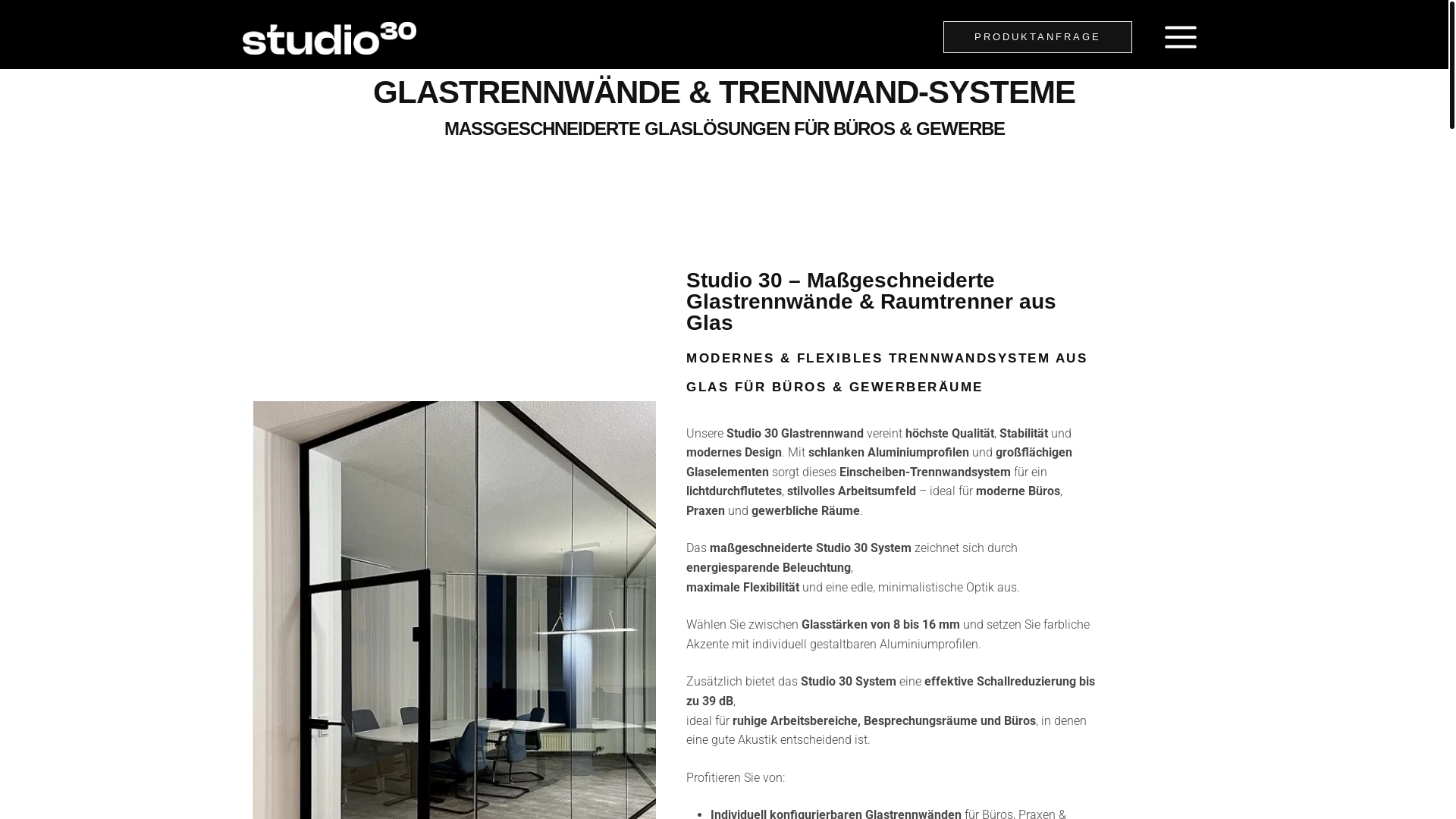 website screenshot of https://berkoverband.de/