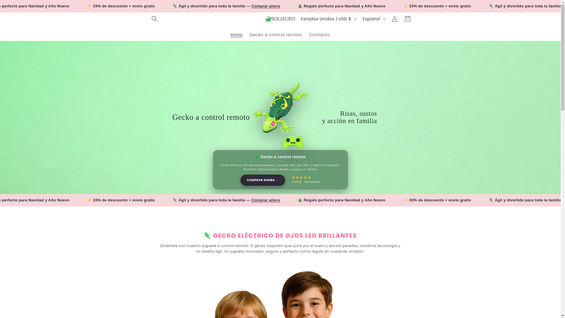 website screenshot of https://solmuro.com/