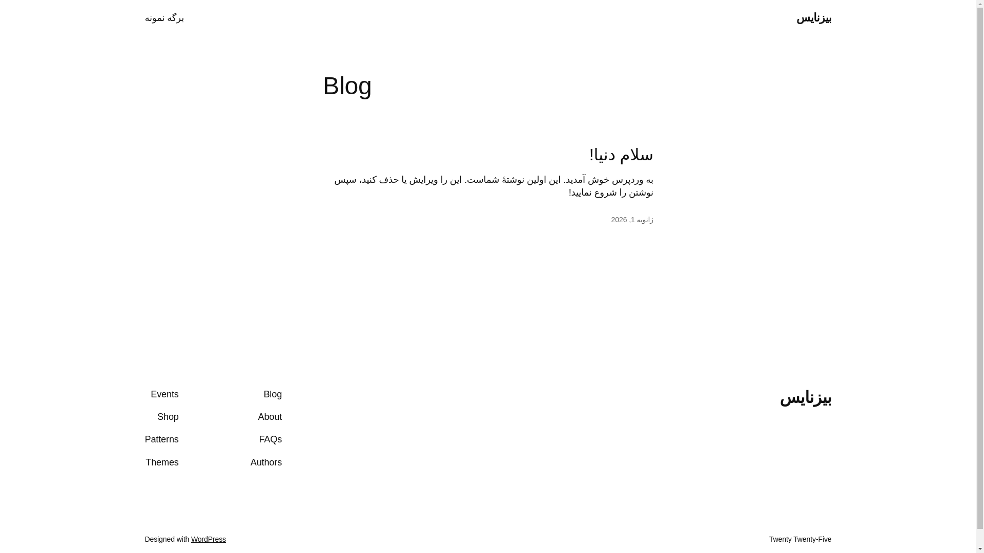 website screenshot of https://biznice.ir/