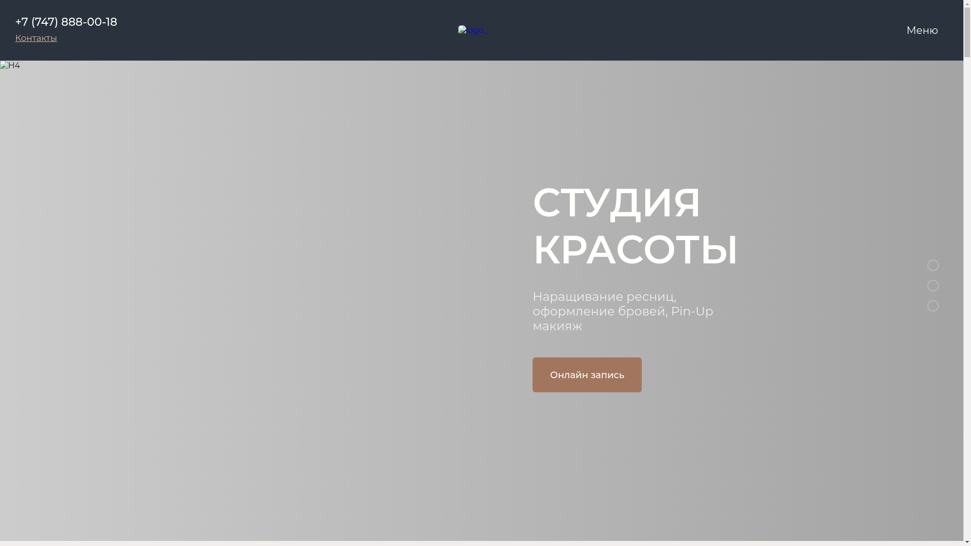 website screenshot of https://netzopy.com/