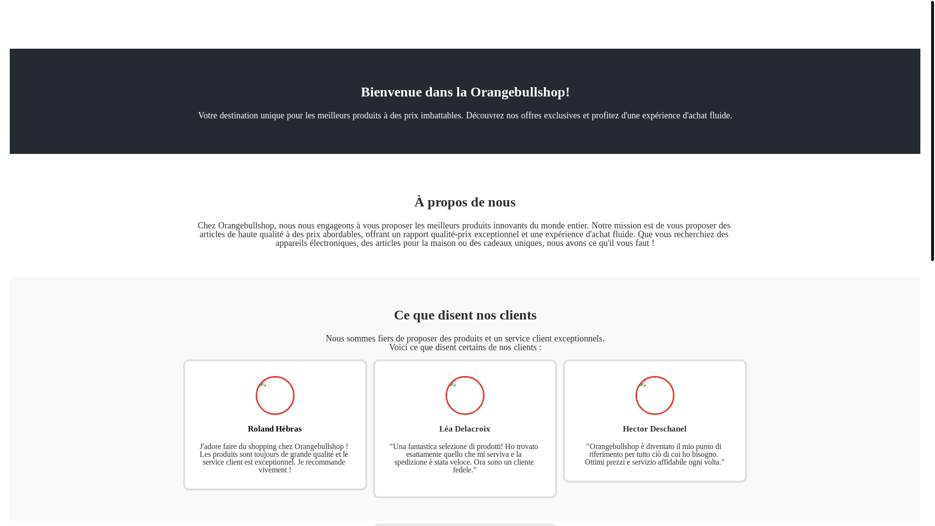 website screenshot of https://orangebullshop.store/