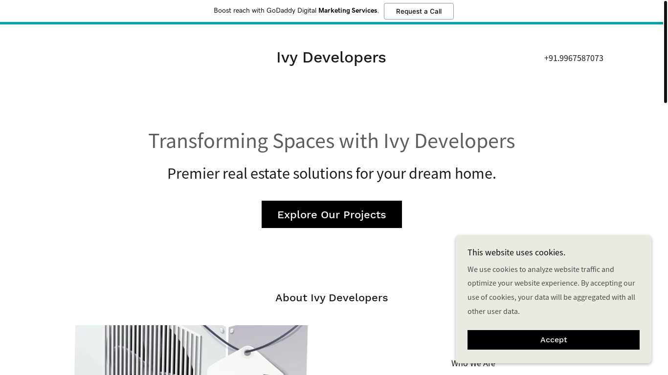 website screenshot of https://ivydevelopers.in/
