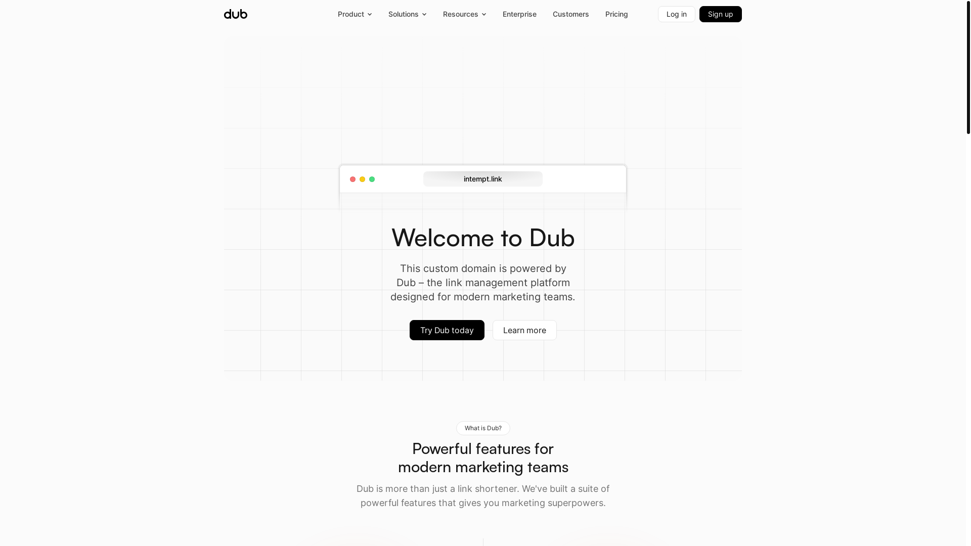 website screenshot of https://intempt.link/