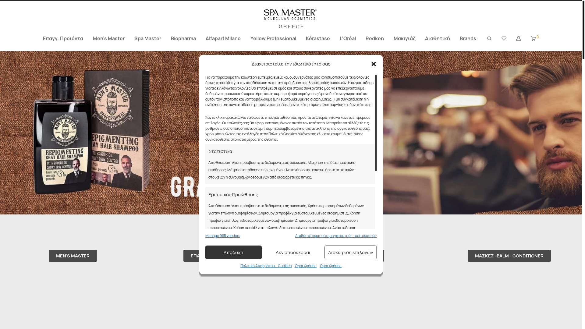 website screenshot of https://spamaster.gr/