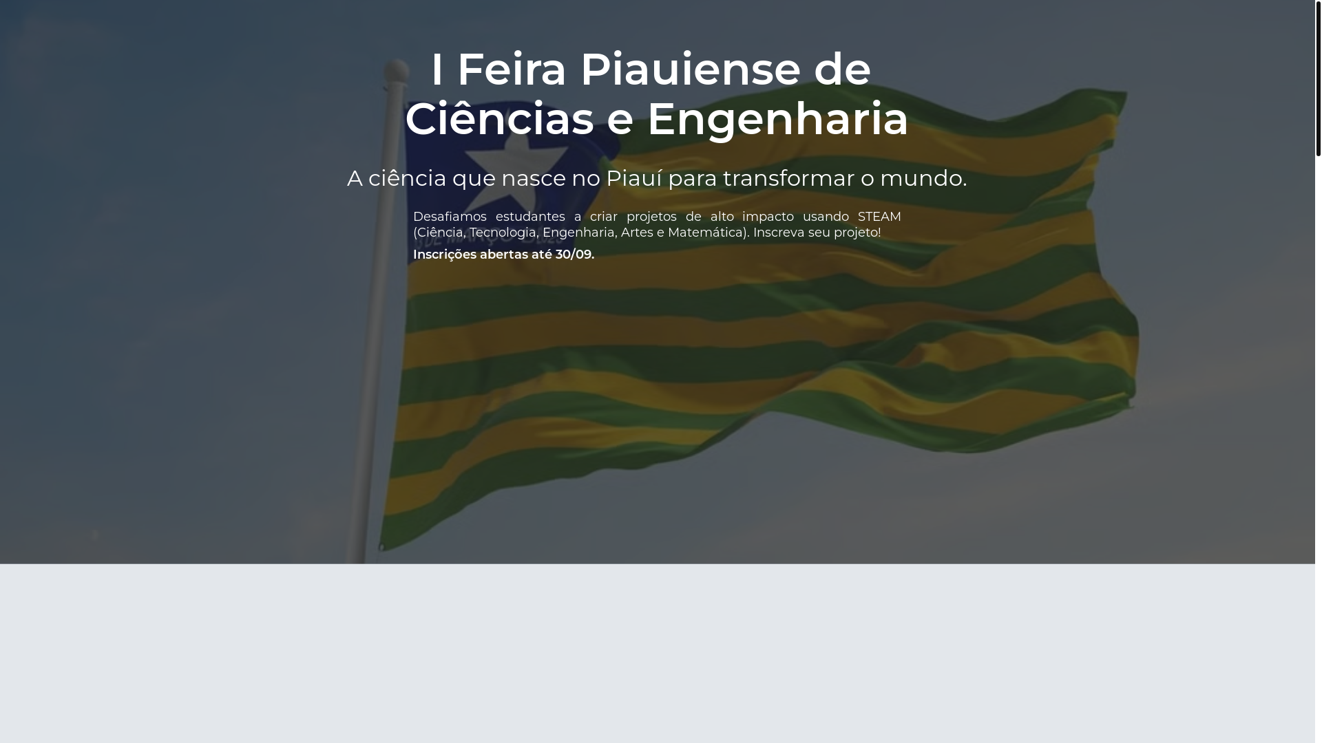 website screenshot of https://fepice.com.br/