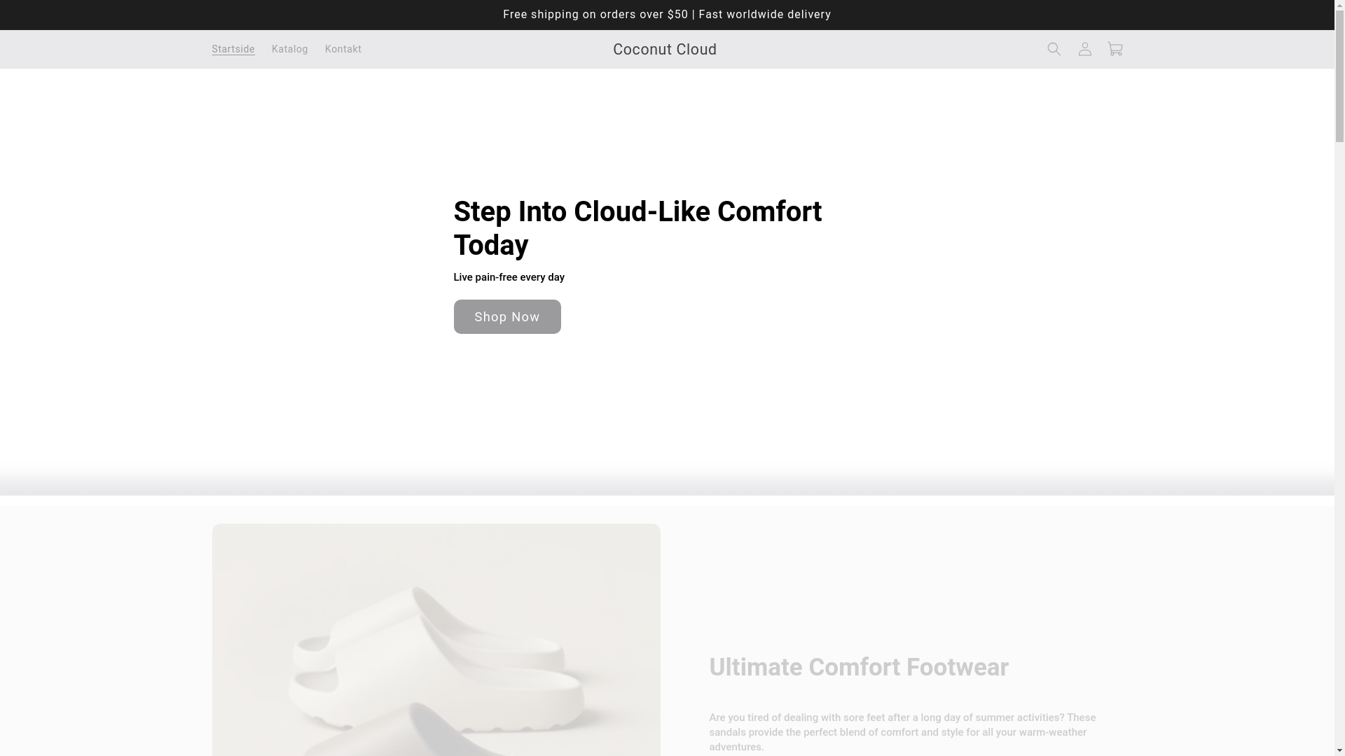 website screenshot of https://coconutcloud.store/