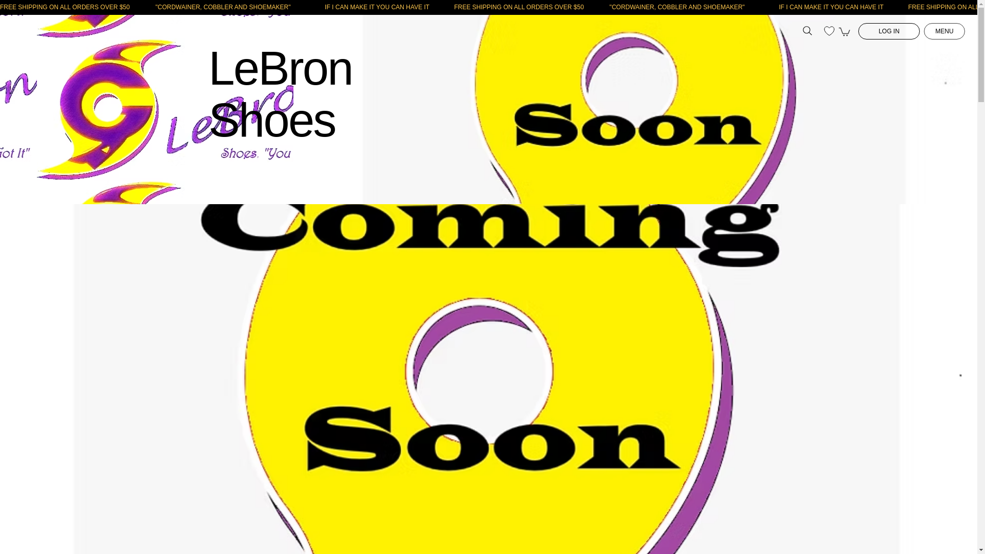 website screenshot of https://lebronstores.com/