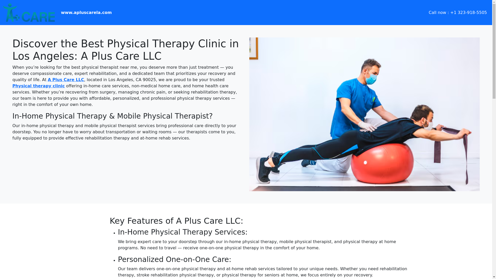 website screenshot of https://discoverthebestphysicaltherapyclinicinlosangelesapluscare.pages.dev/