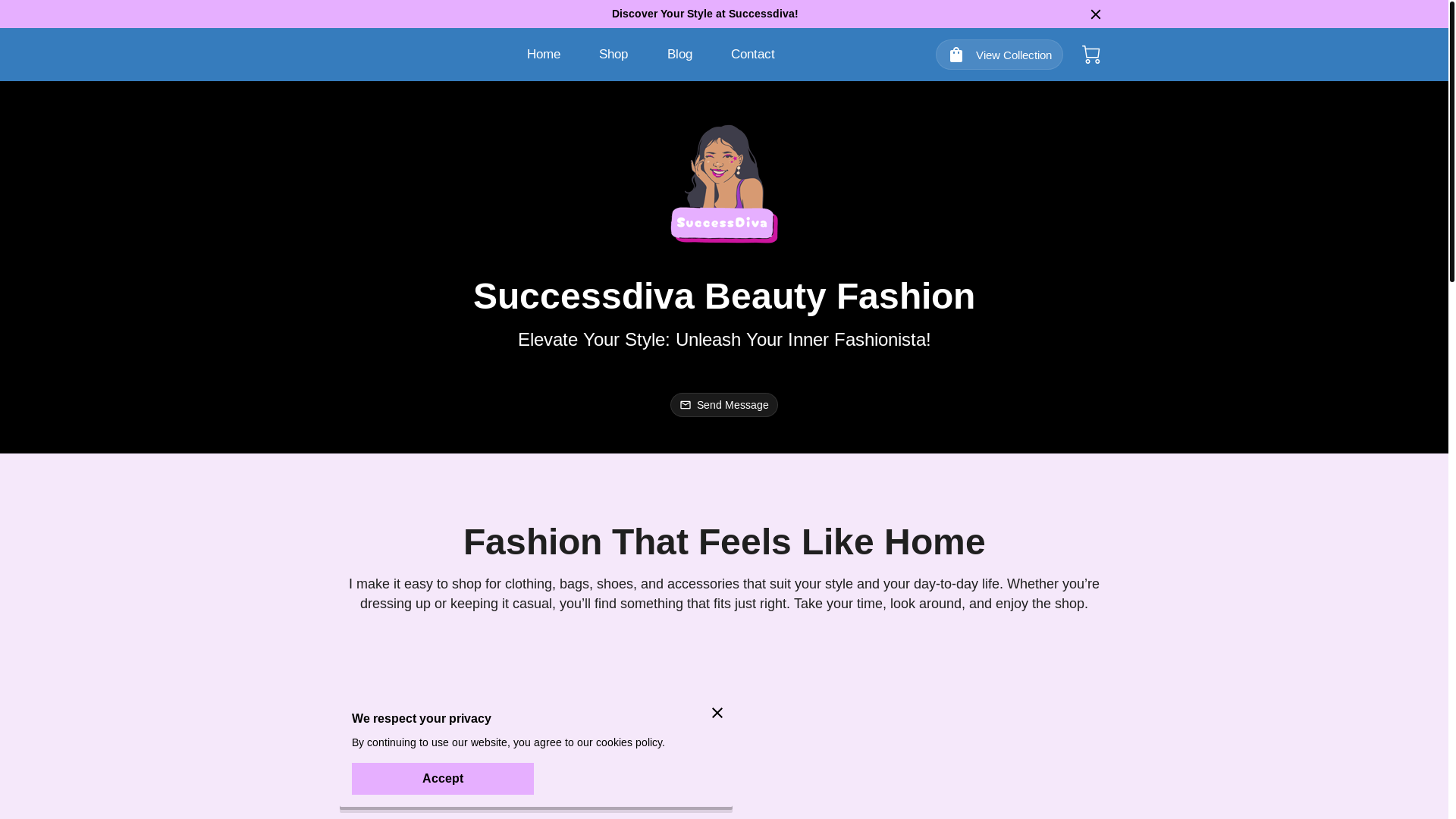 website screenshot of https://successdivabeautyfashionllc.com/