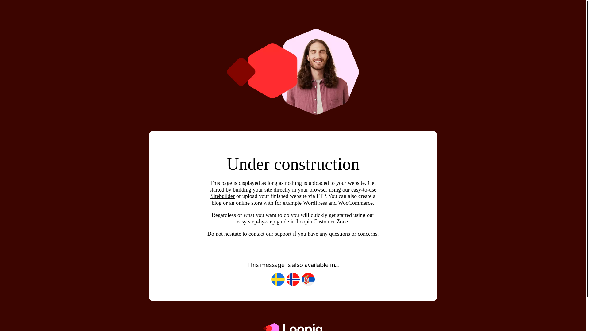 website screenshot of https://indsvenit.se/
