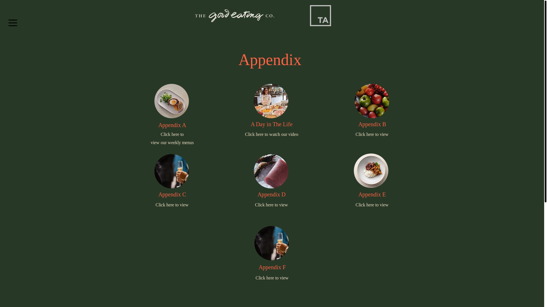 website screenshot of https://gecxta.com/