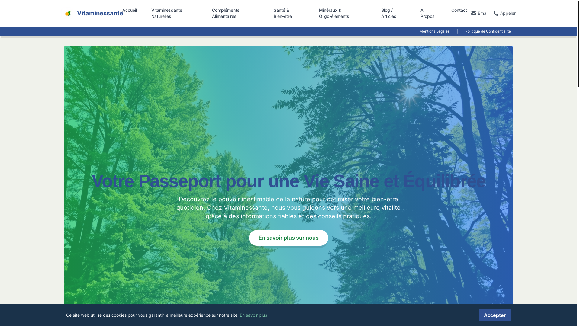 website screenshot of https://vitaminessante.info/