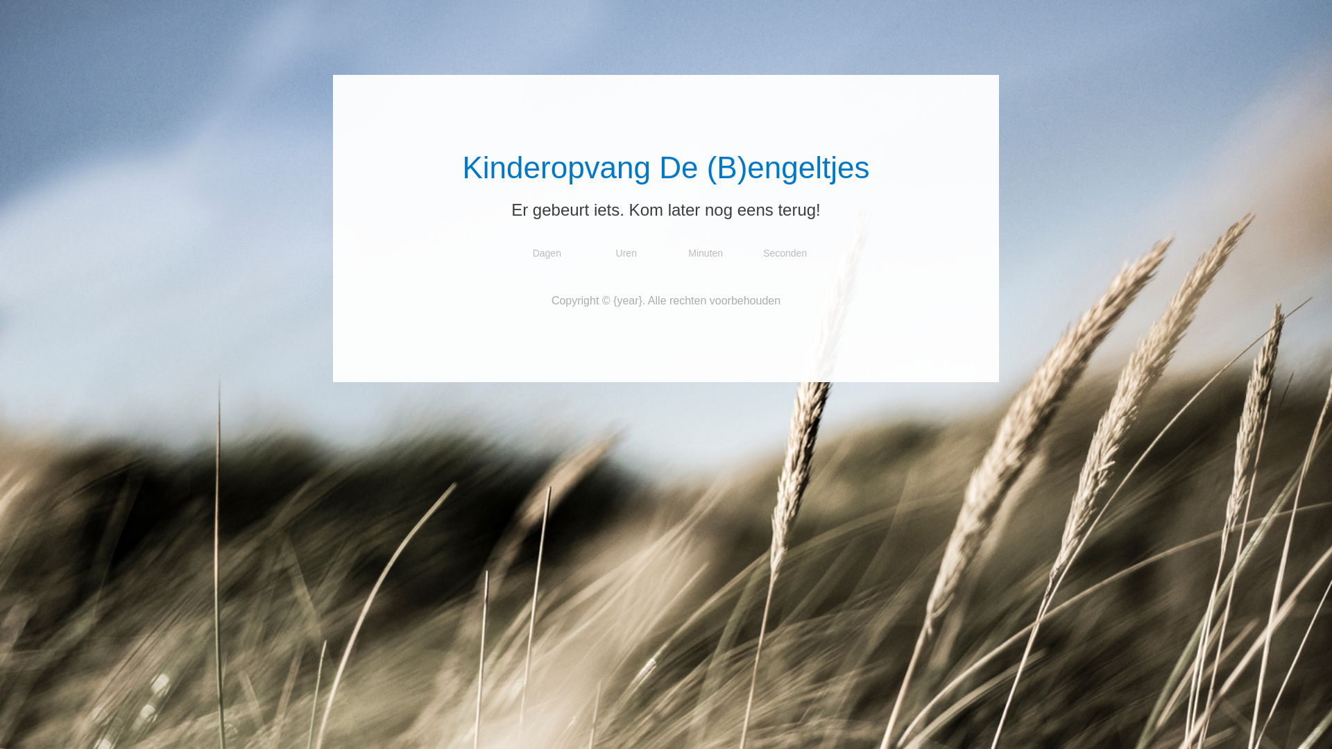 website screenshot of https://bijdebengeltjes.be/