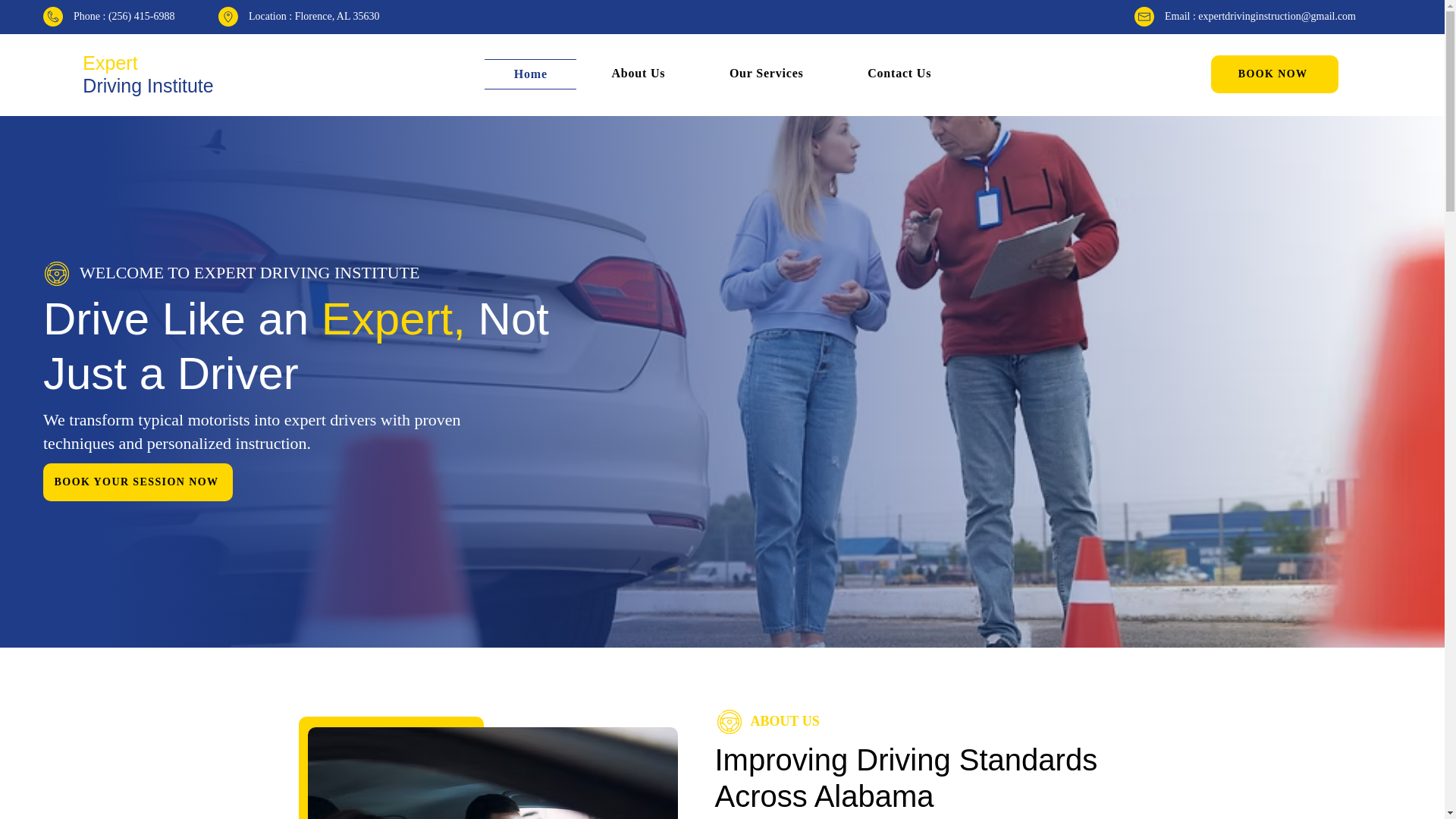 website screenshot of https://expertdrivinginstructioninstitute.com/