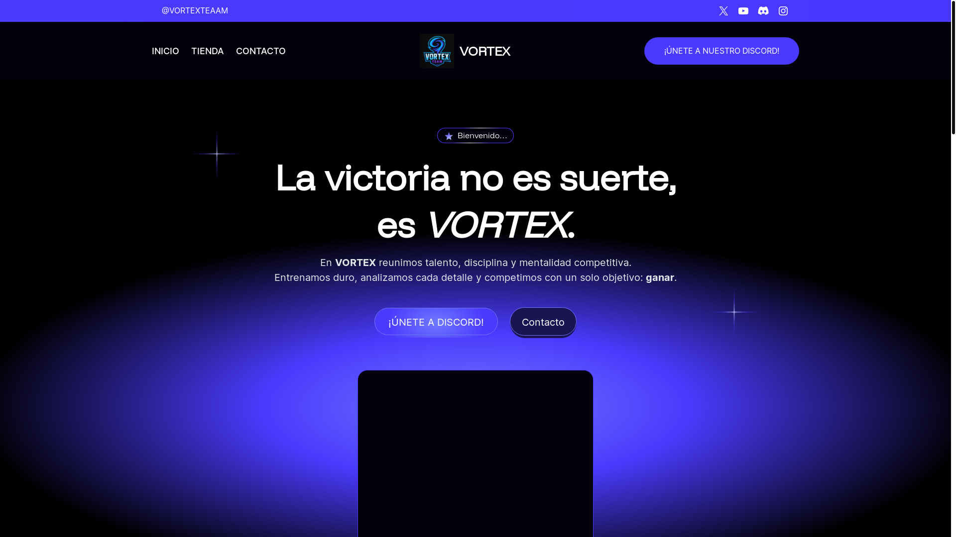 website screenshot of https://vortexteaam.es/