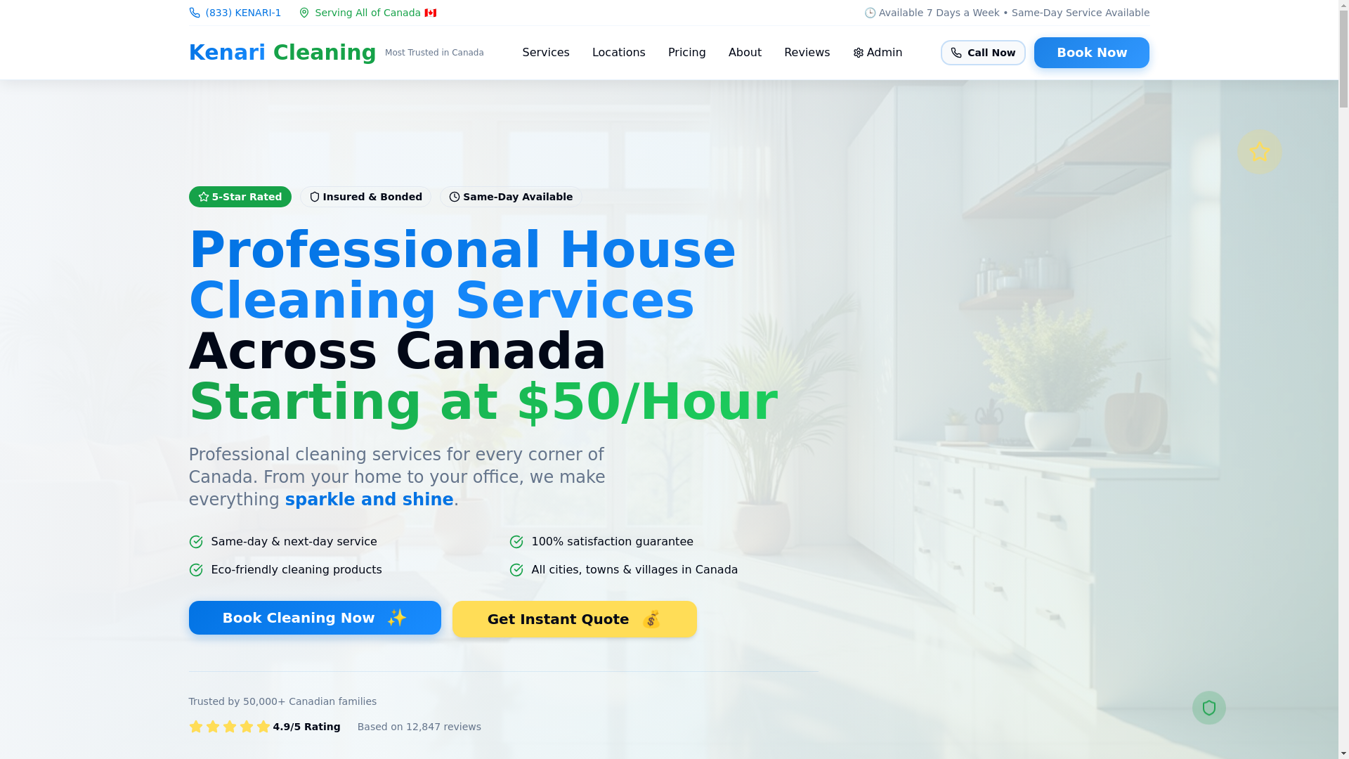 website screenshot of https://kenaricleaning.com/