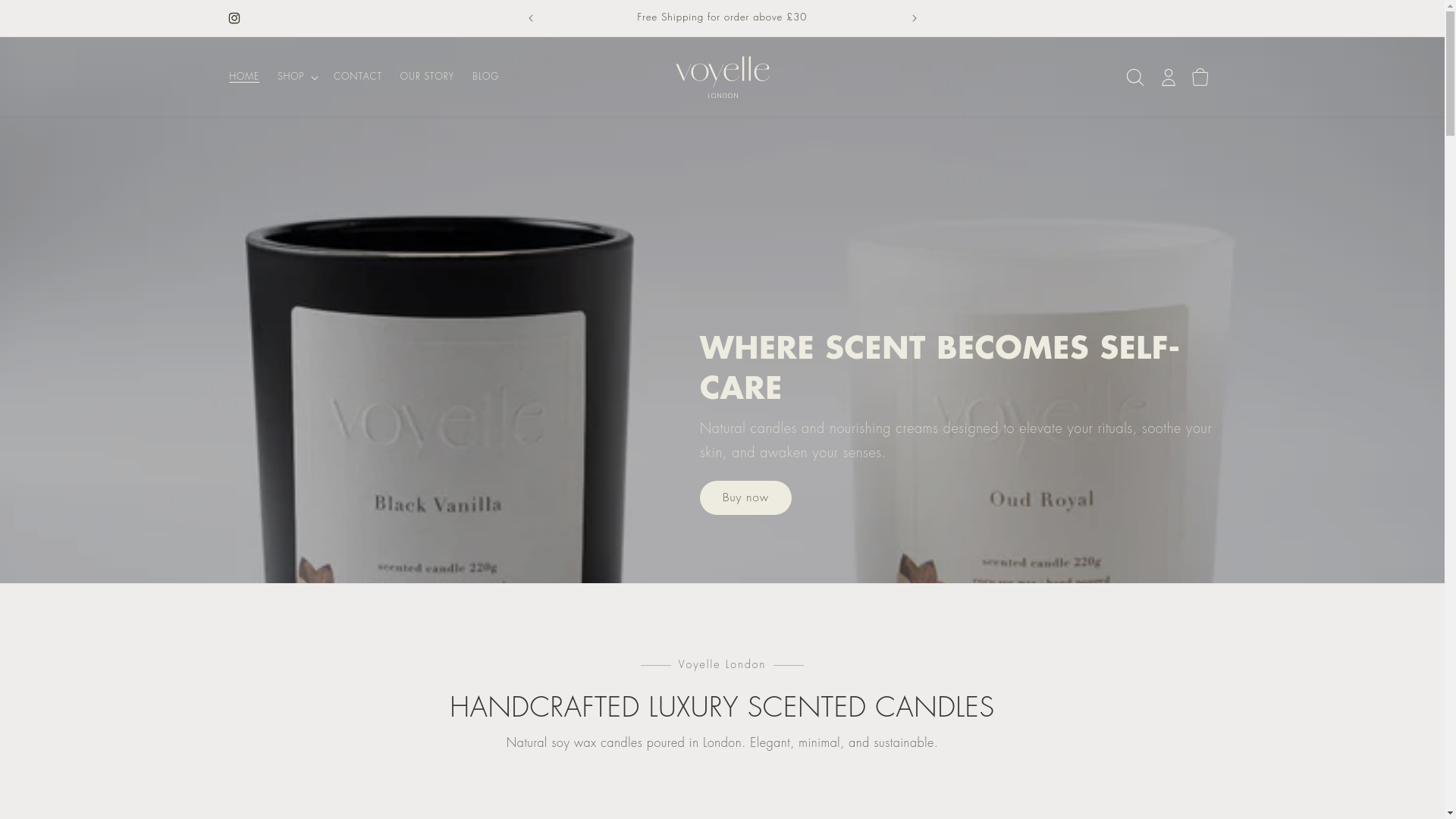 website screenshot of https://voyellewellness.com/