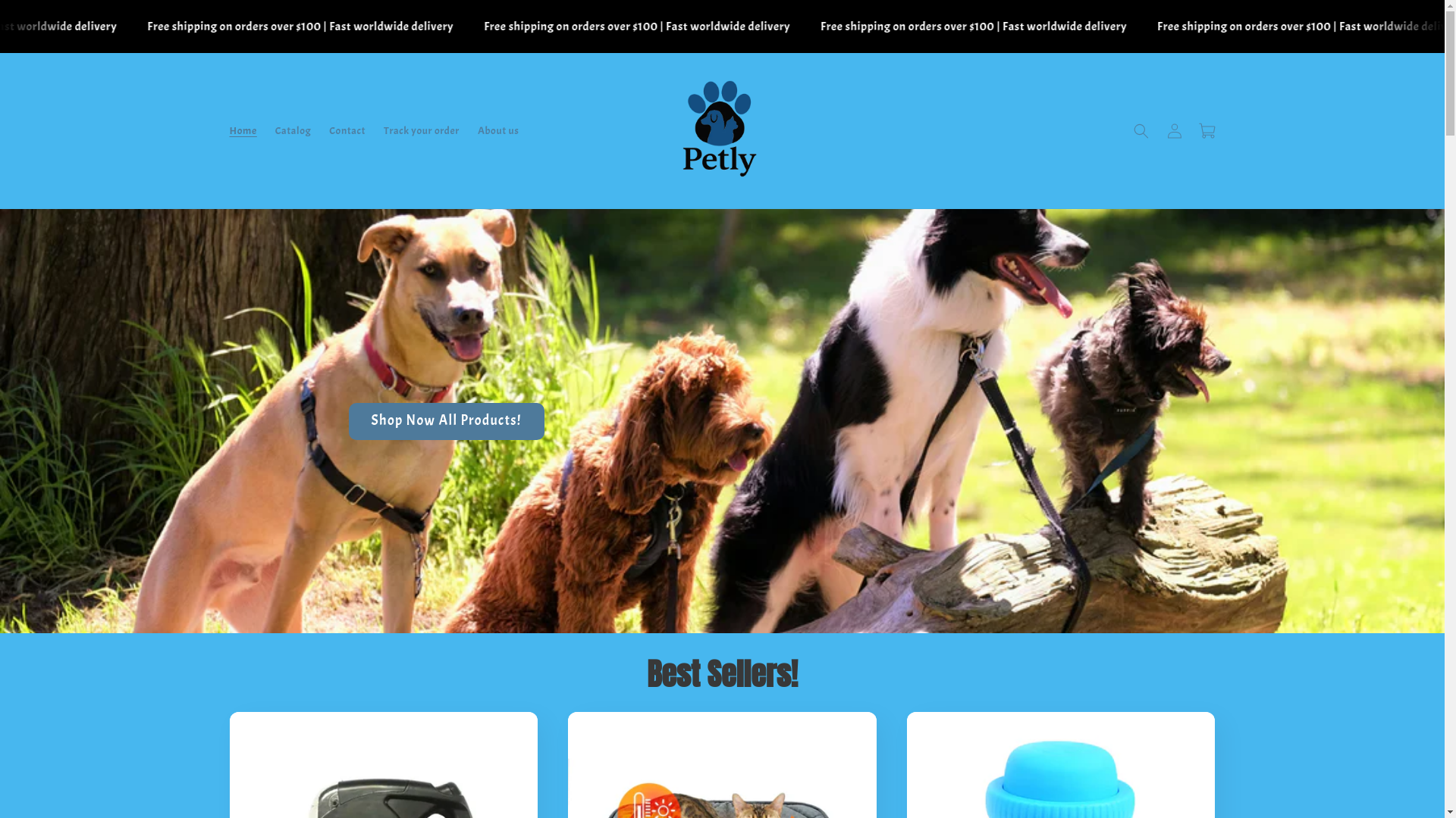 website screenshot of https://velorunway.com/