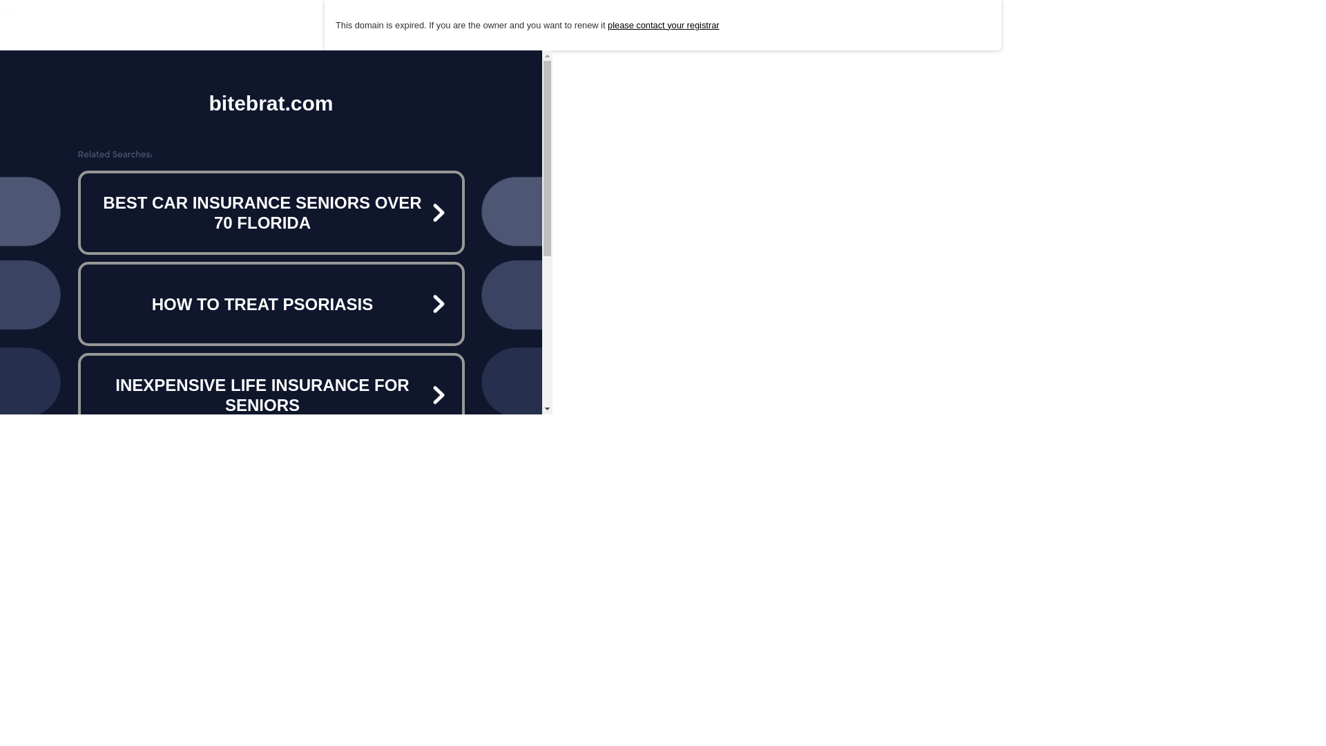 website screenshot of https://bitebrat.com/