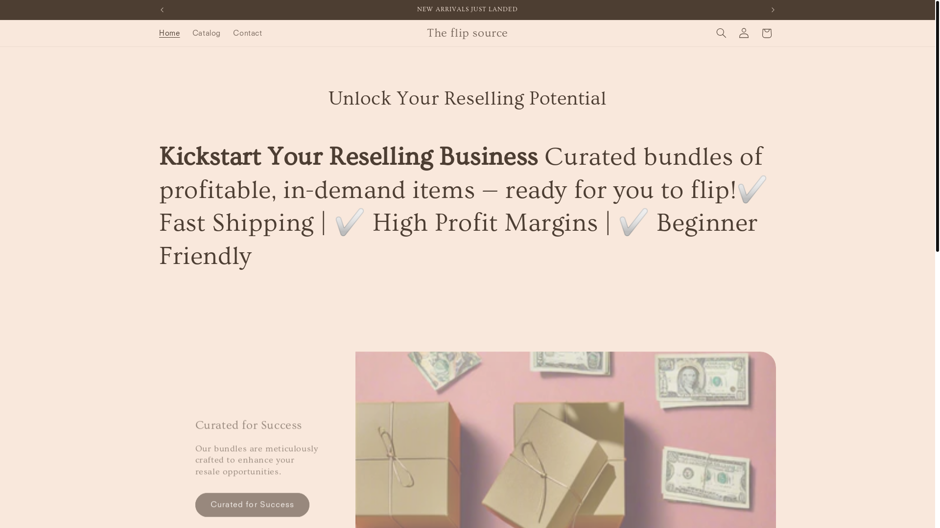 website screenshot of https://theflipsource.shop/