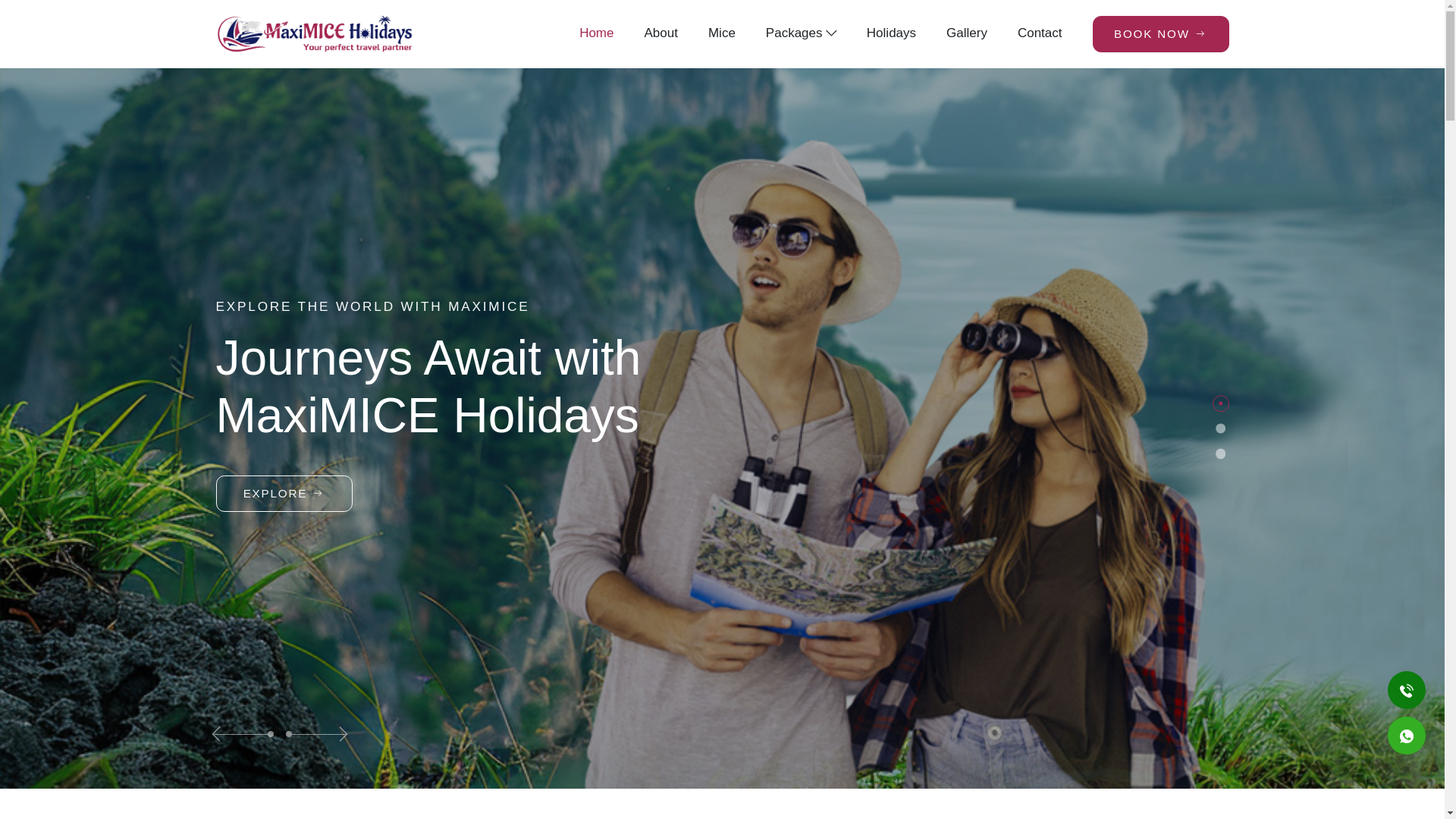 website screenshot of https://maximiceholidays.in/