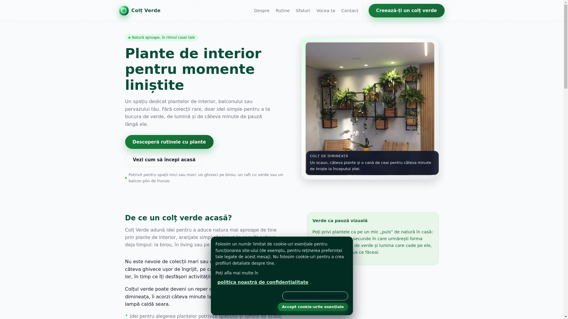 website screenshot of https://rookipisa.online/