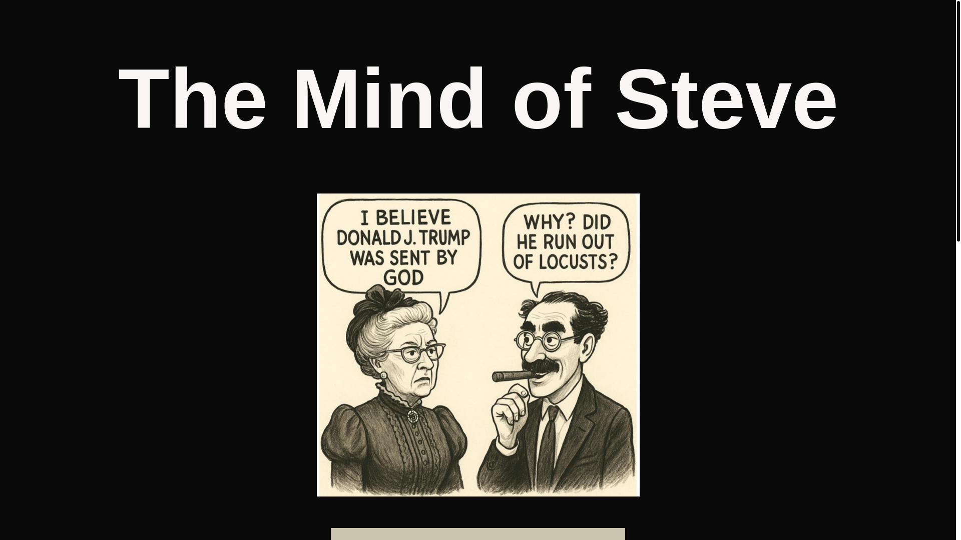 website screenshot of https://themindofsteve.com/